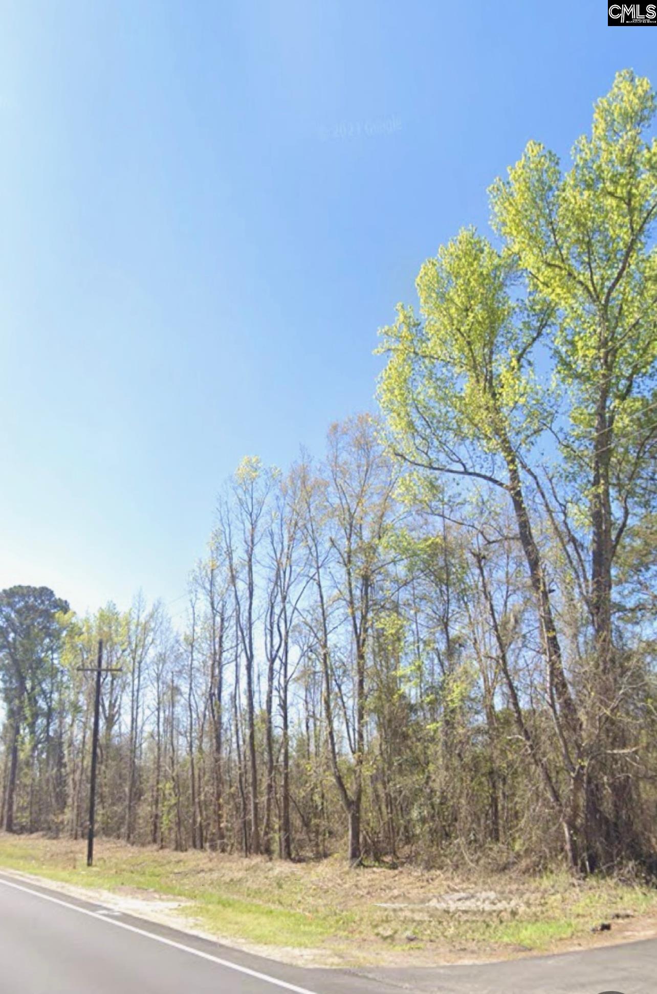 Broxton Bridge Road, Bamberg, South Carolina image 1