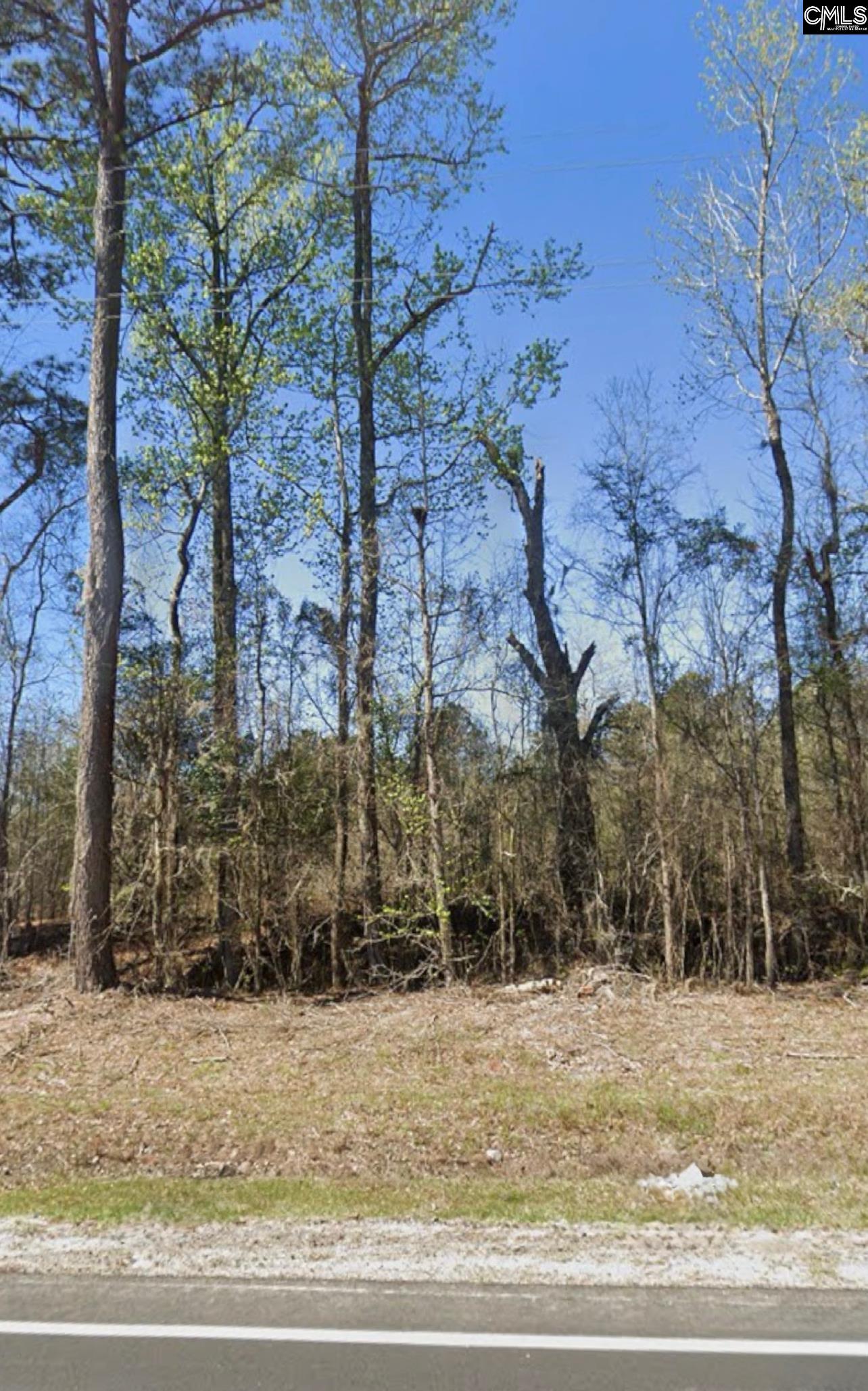 Broxton Bridge Road, Bamberg, South Carolina image 3