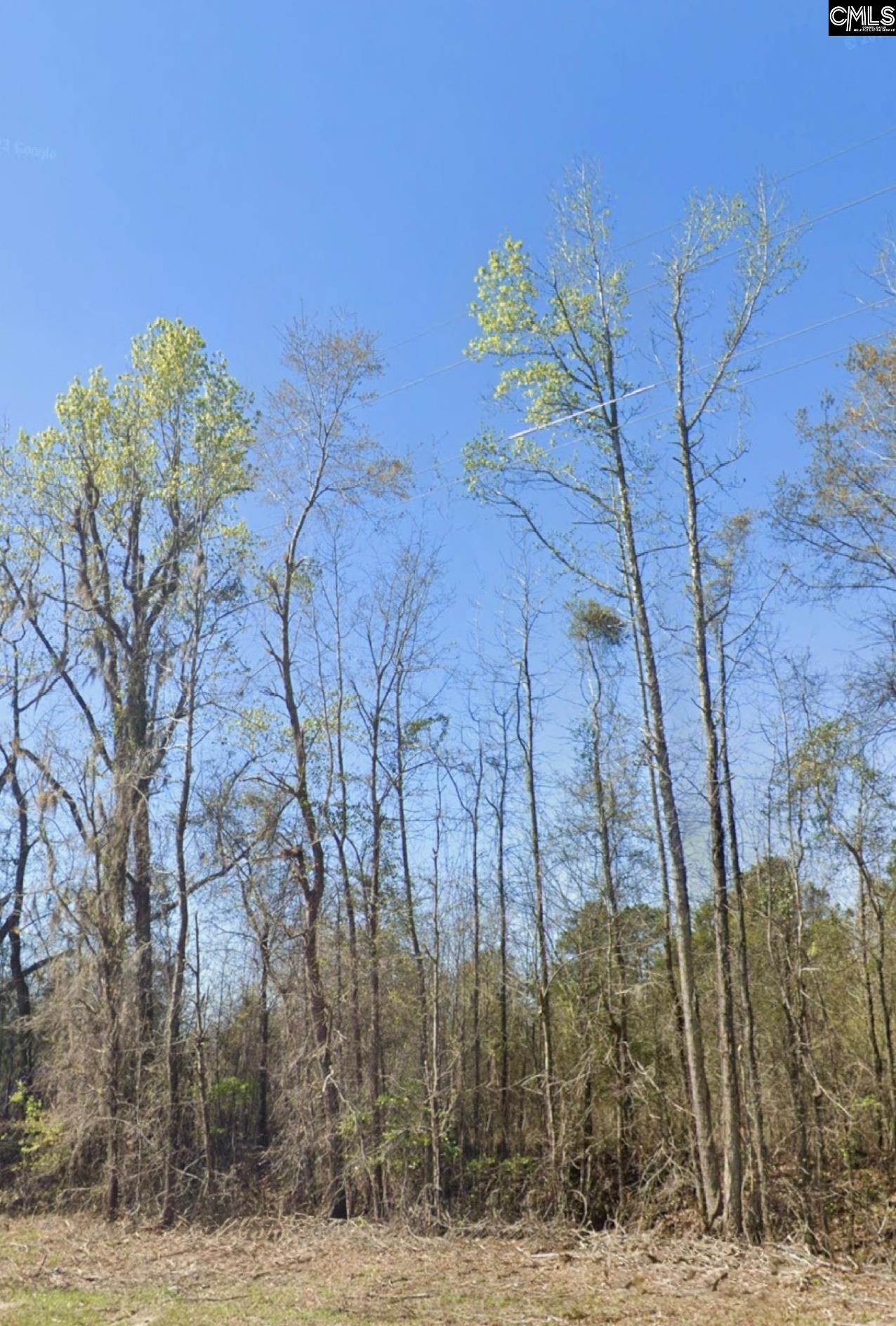Broxton Bridge Road, Bamberg, South Carolina image 4