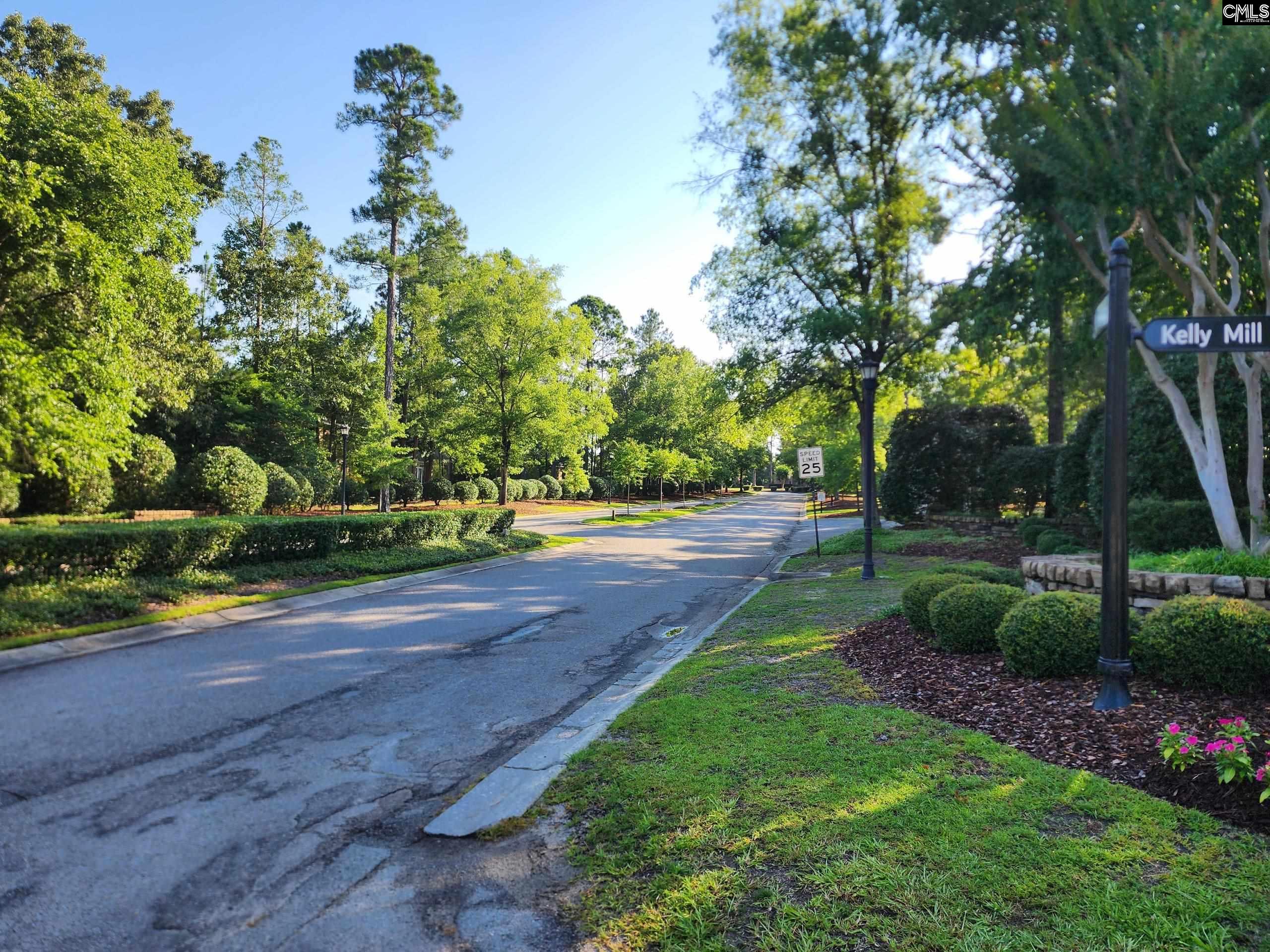1 Crickentree Court, Blythewood, South Carolina image 2