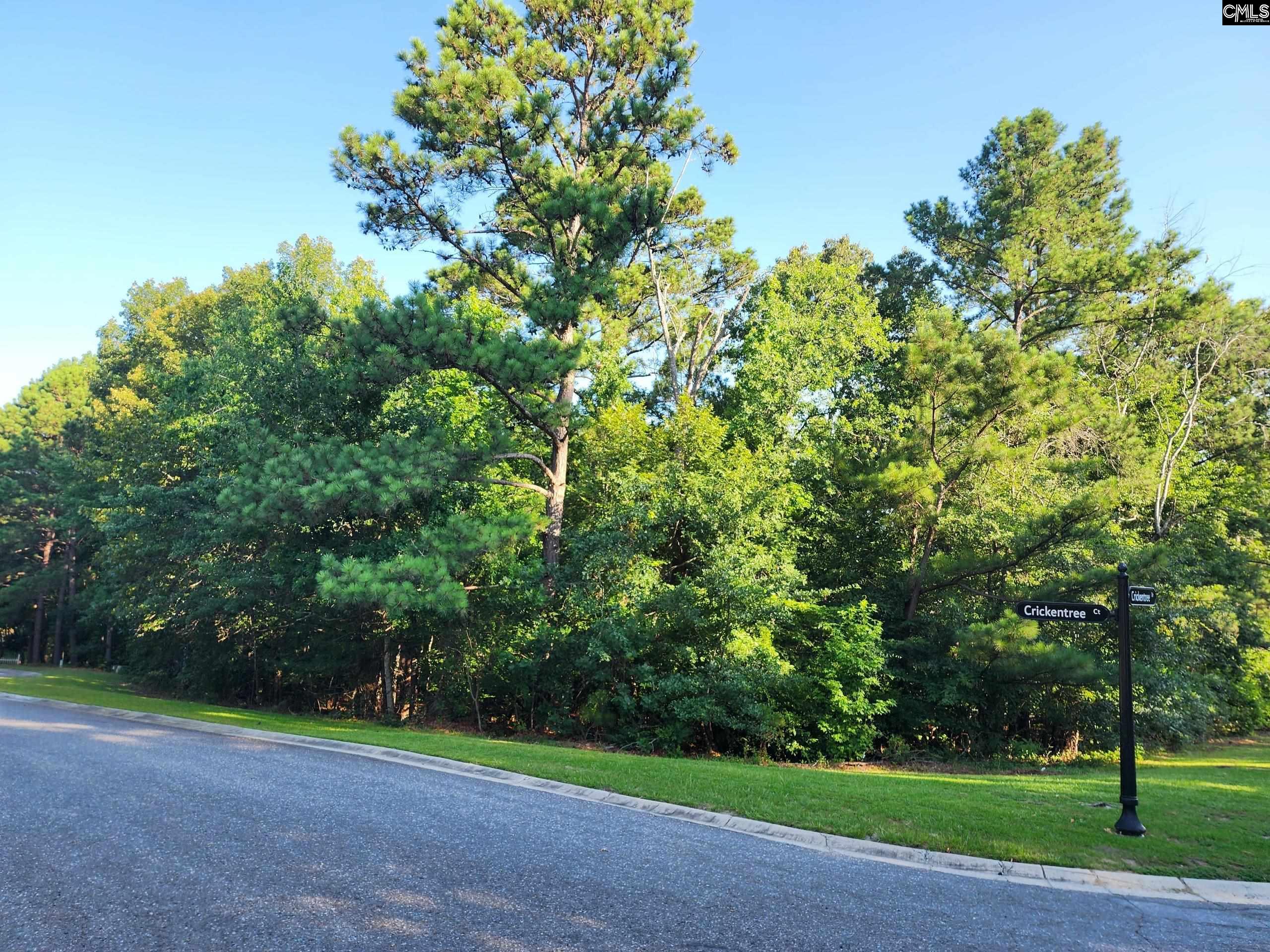 1 Crickentree Court, Blythewood, South Carolina image 3