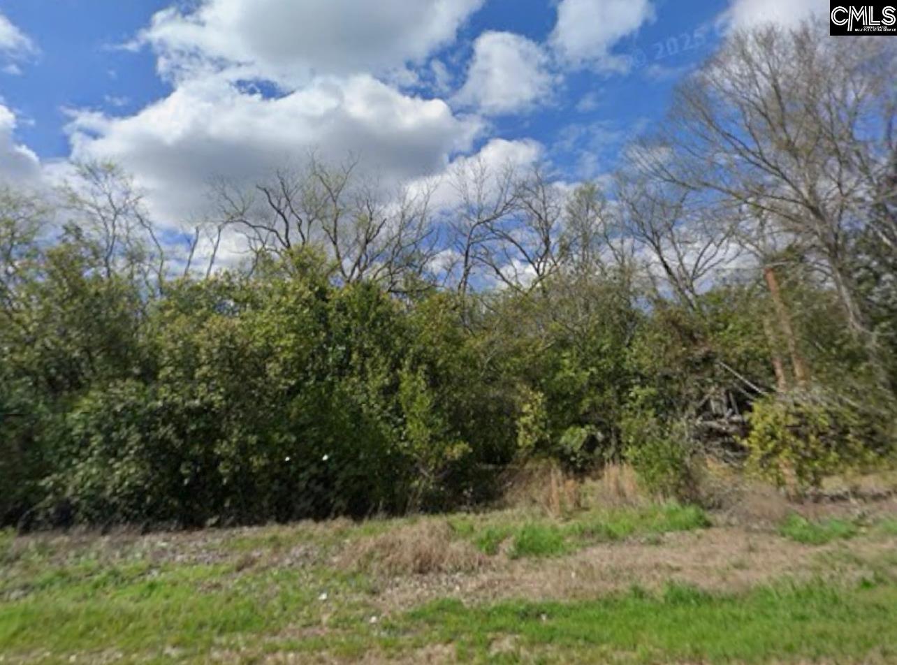 Hwy 70, Cope, South Carolina image 3