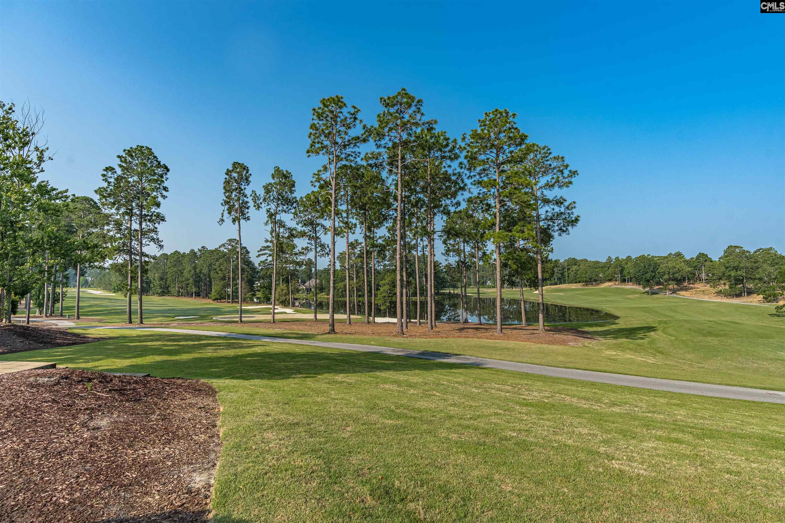 769 Broad Leaf Elgin, SC 29045