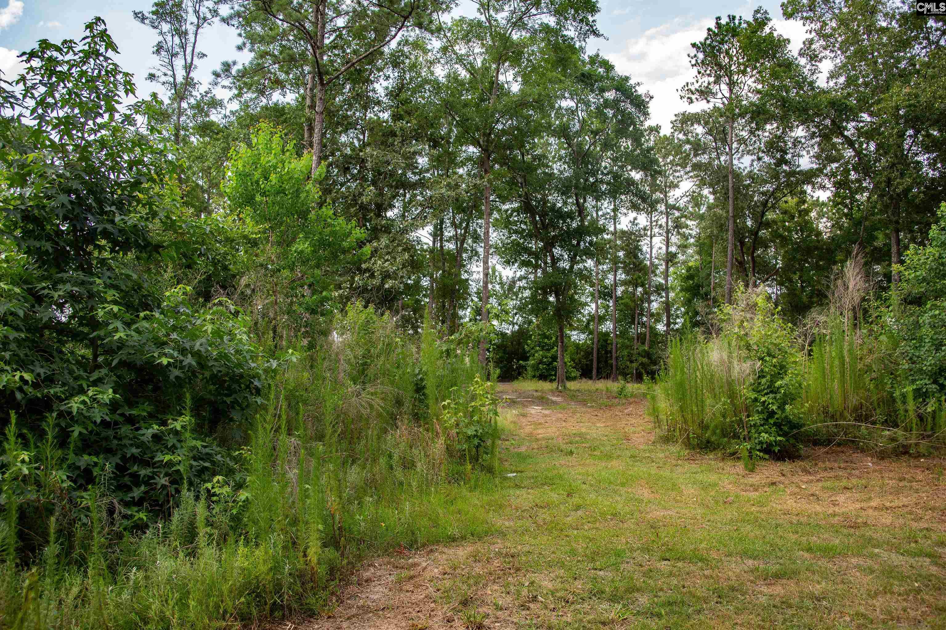 105 Dunwoody Place, Blythewood, South Carolina image 11
