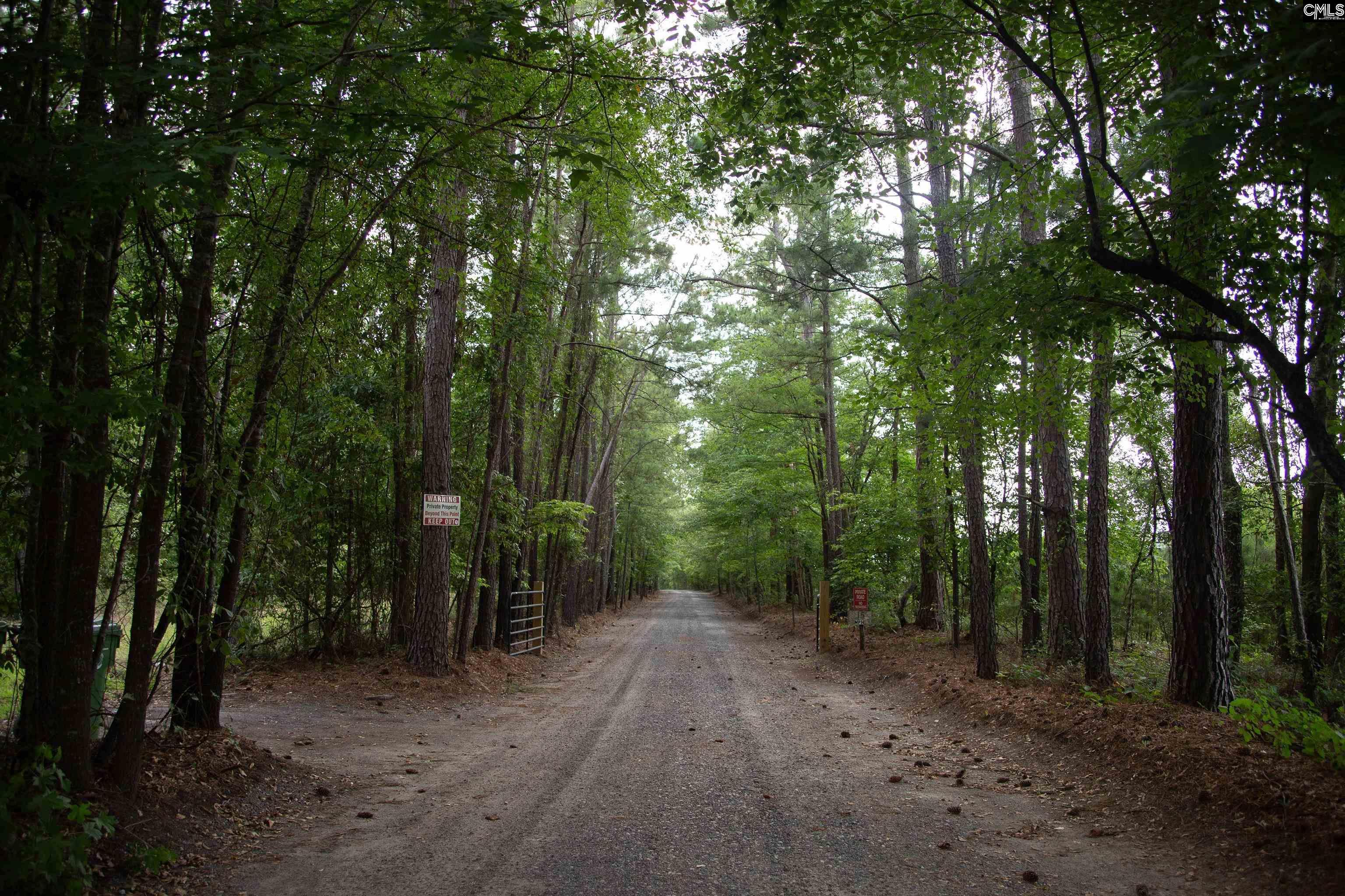 105 Dunwoody Place, Blythewood, South Carolina image 12
