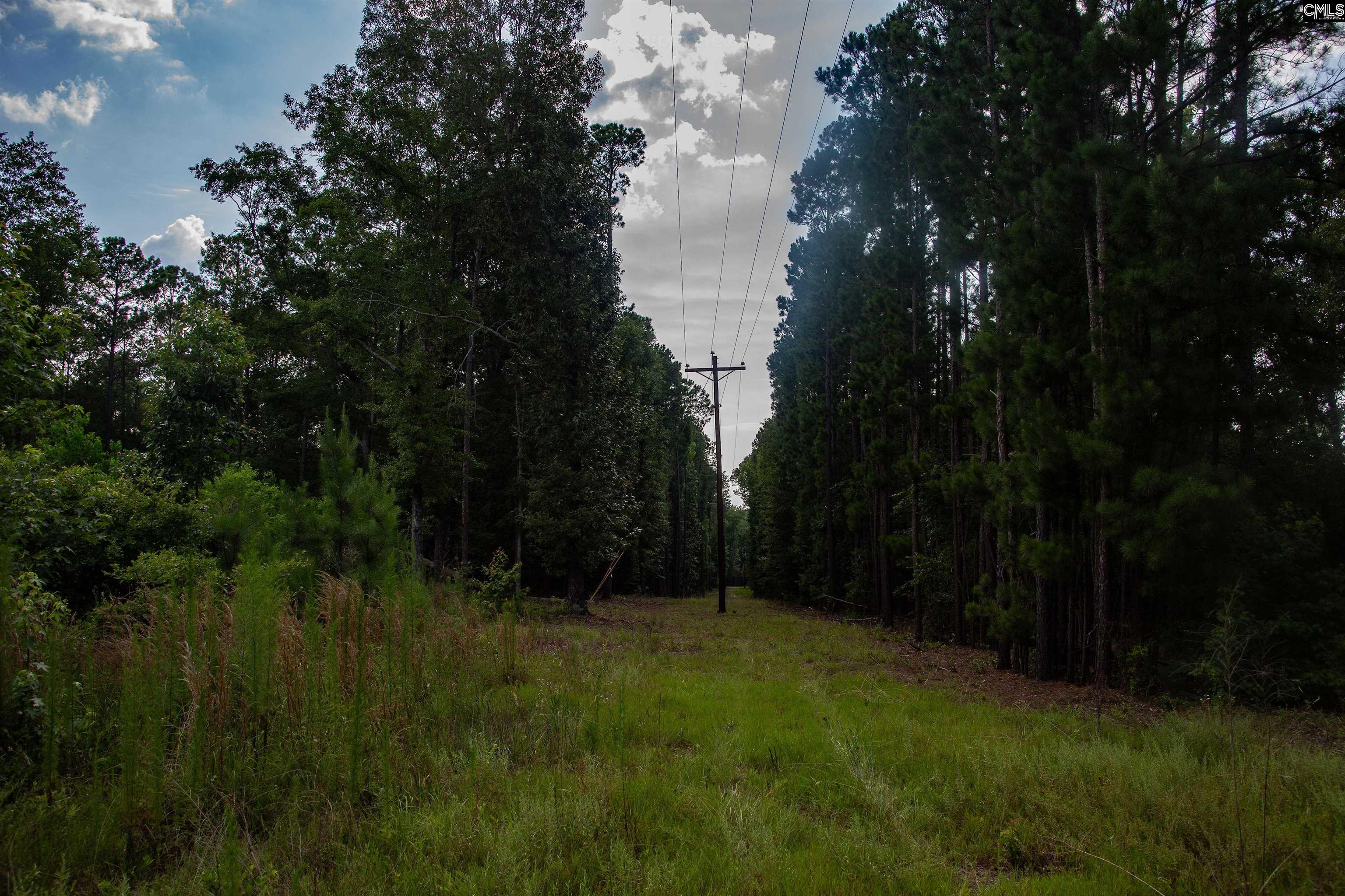 105 Dunwoody Place, Blythewood, South Carolina image 14