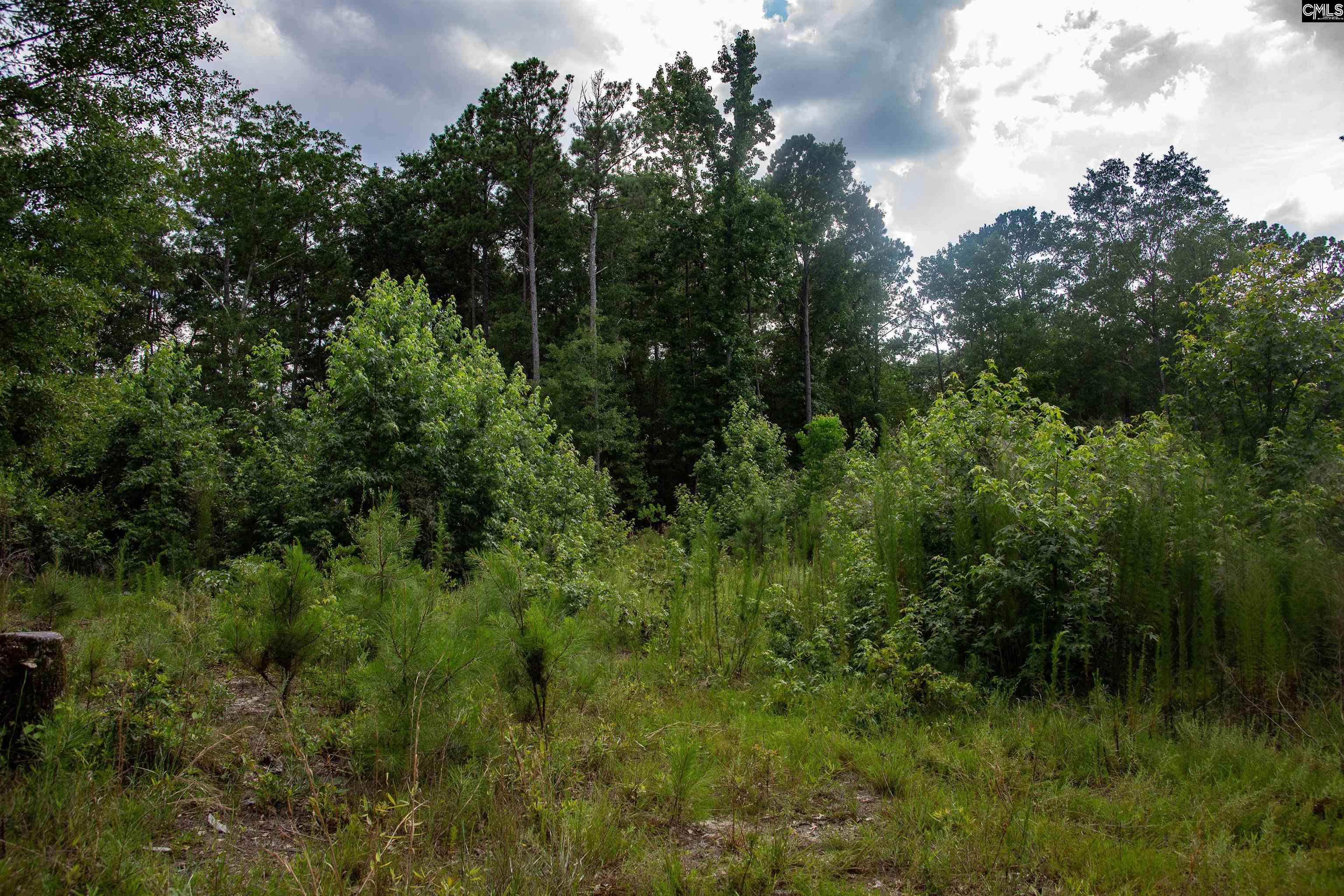 105 Dunwoody Place, Blythewood, South Carolina image 15