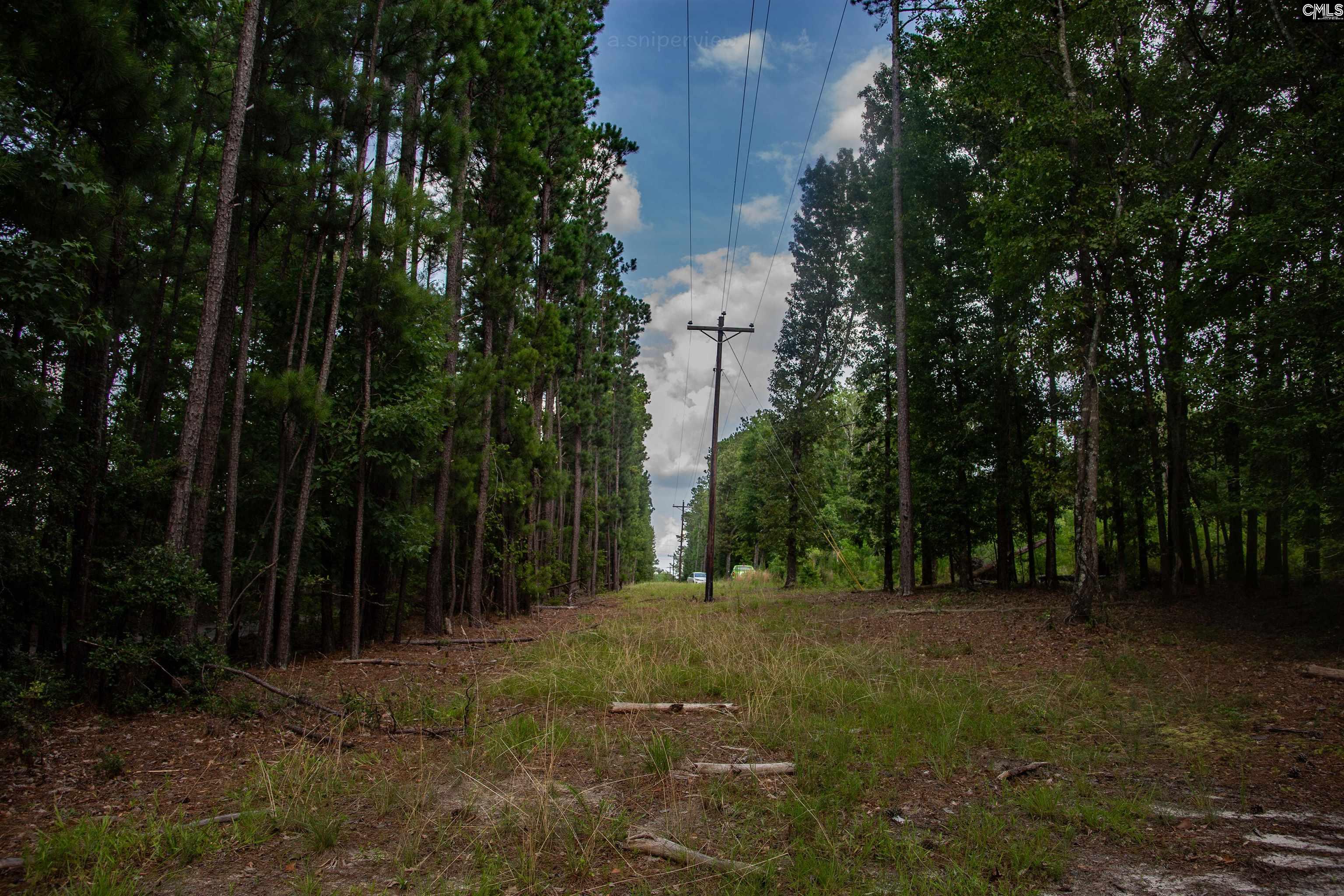 105 Dunwoody Place, Blythewood, South Carolina image 16