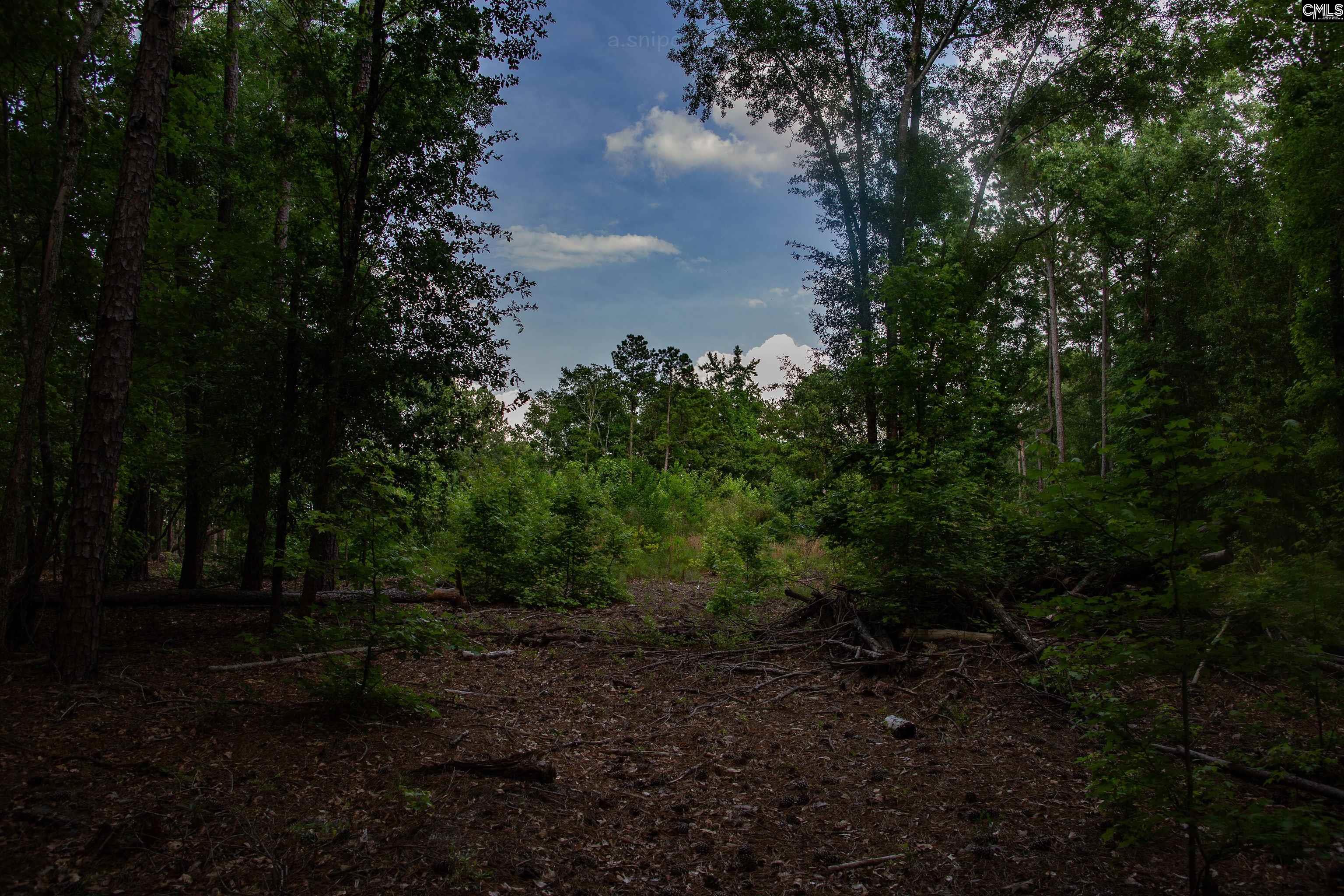 105 Dunwoody Place, Blythewood, South Carolina image 17