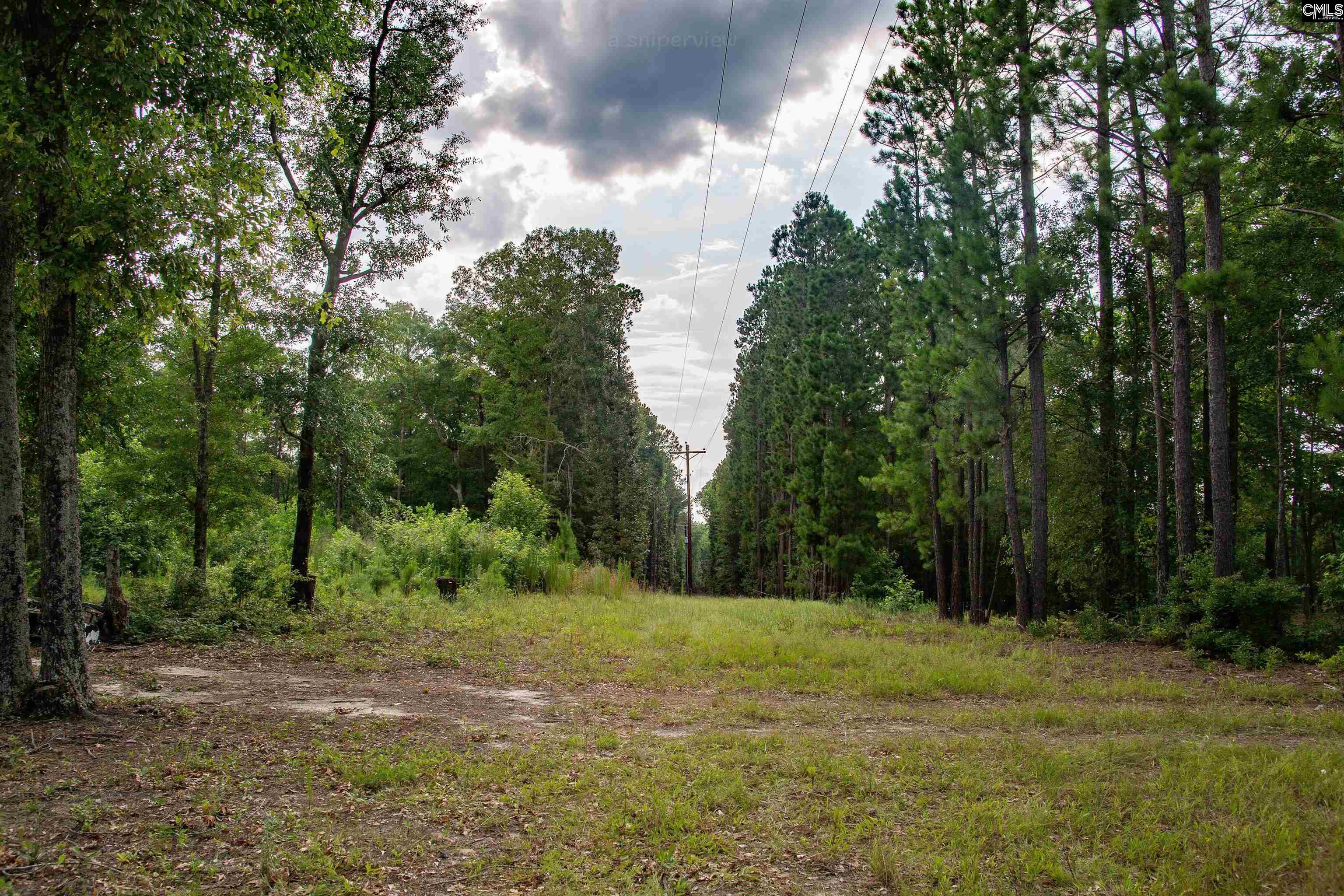 105 Dunwoody Place, Blythewood, South Carolina image 19