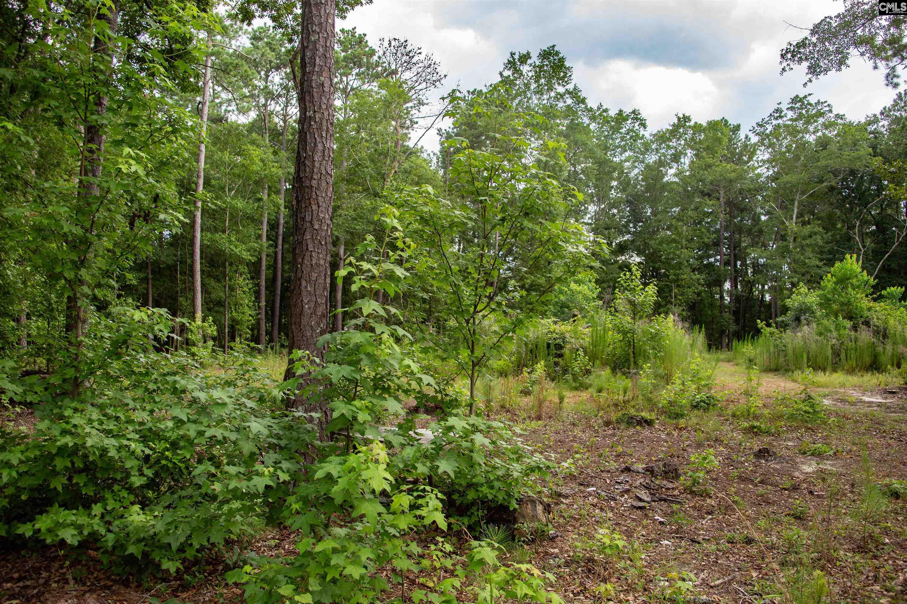 105 Dunwoody Place, Blythewood, South Carolina image 20