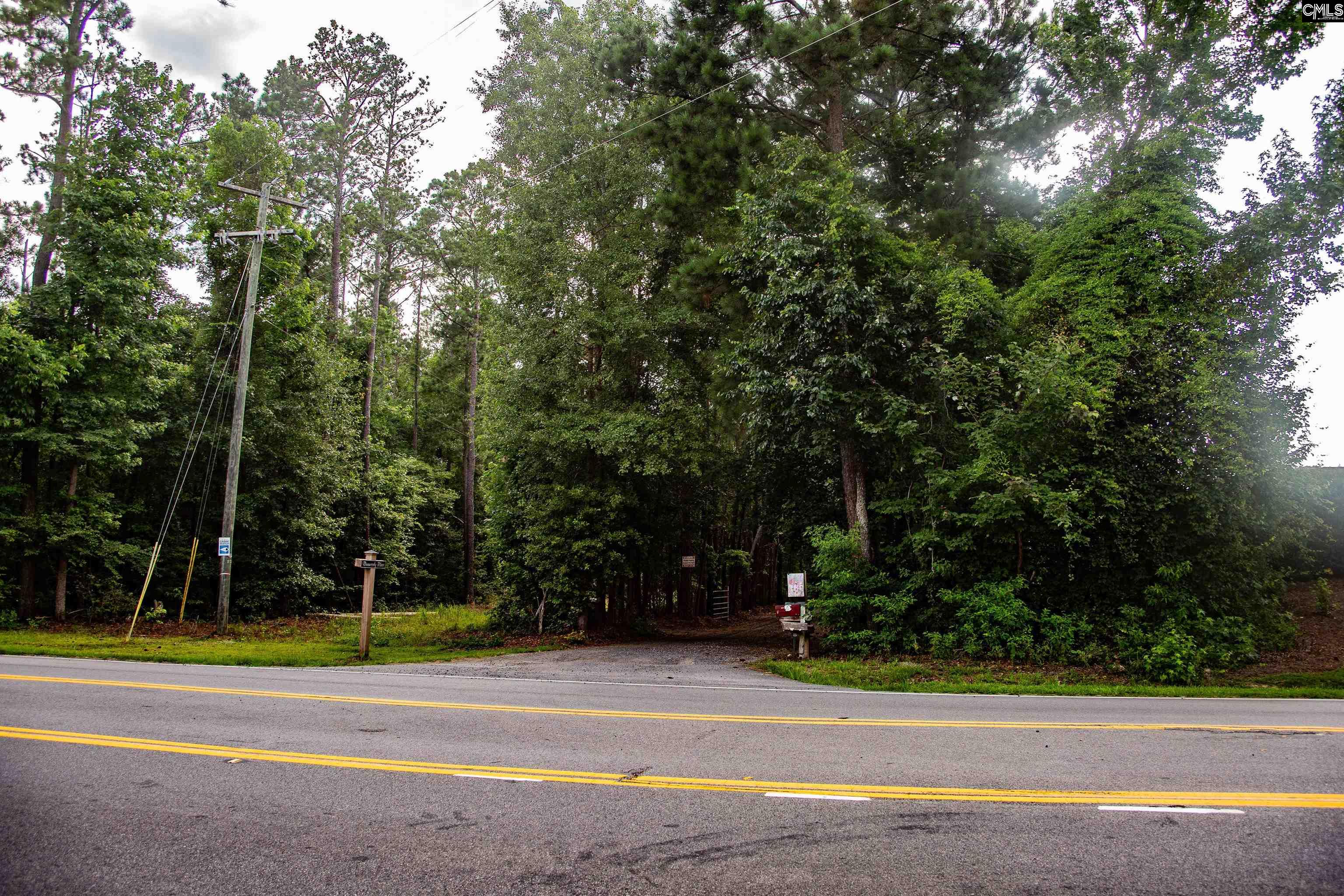 105 Dunwoody Place, Blythewood, South Carolina image 3