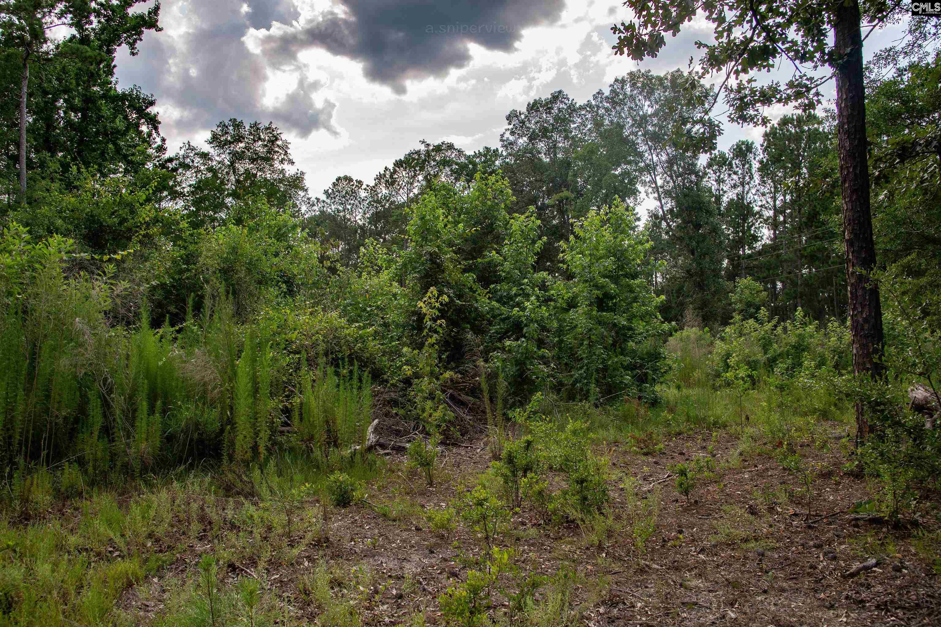 105 Dunwoody Place, Blythewood, South Carolina image 21