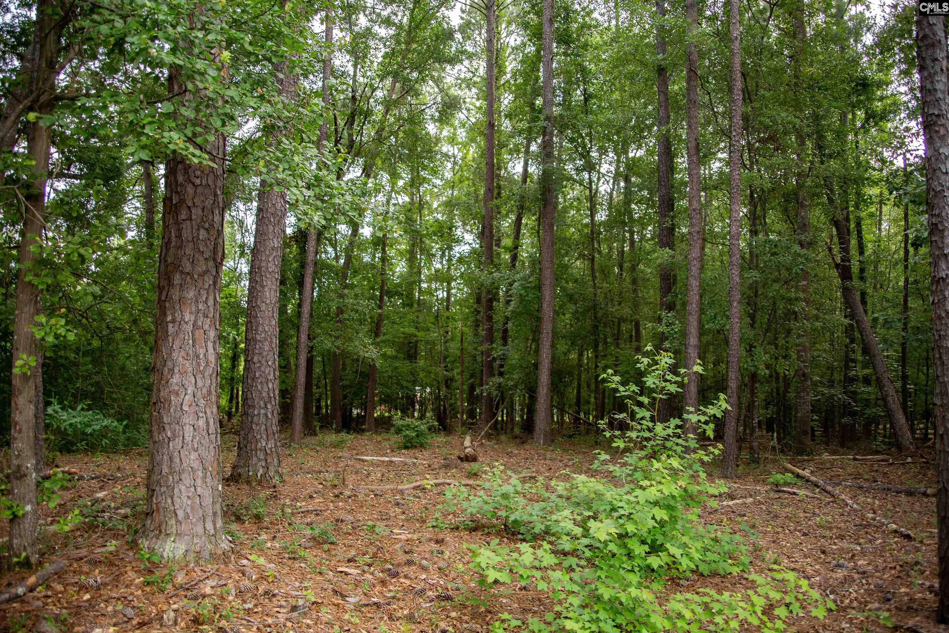 105 Dunwoody Place, Blythewood, South Carolina image 22