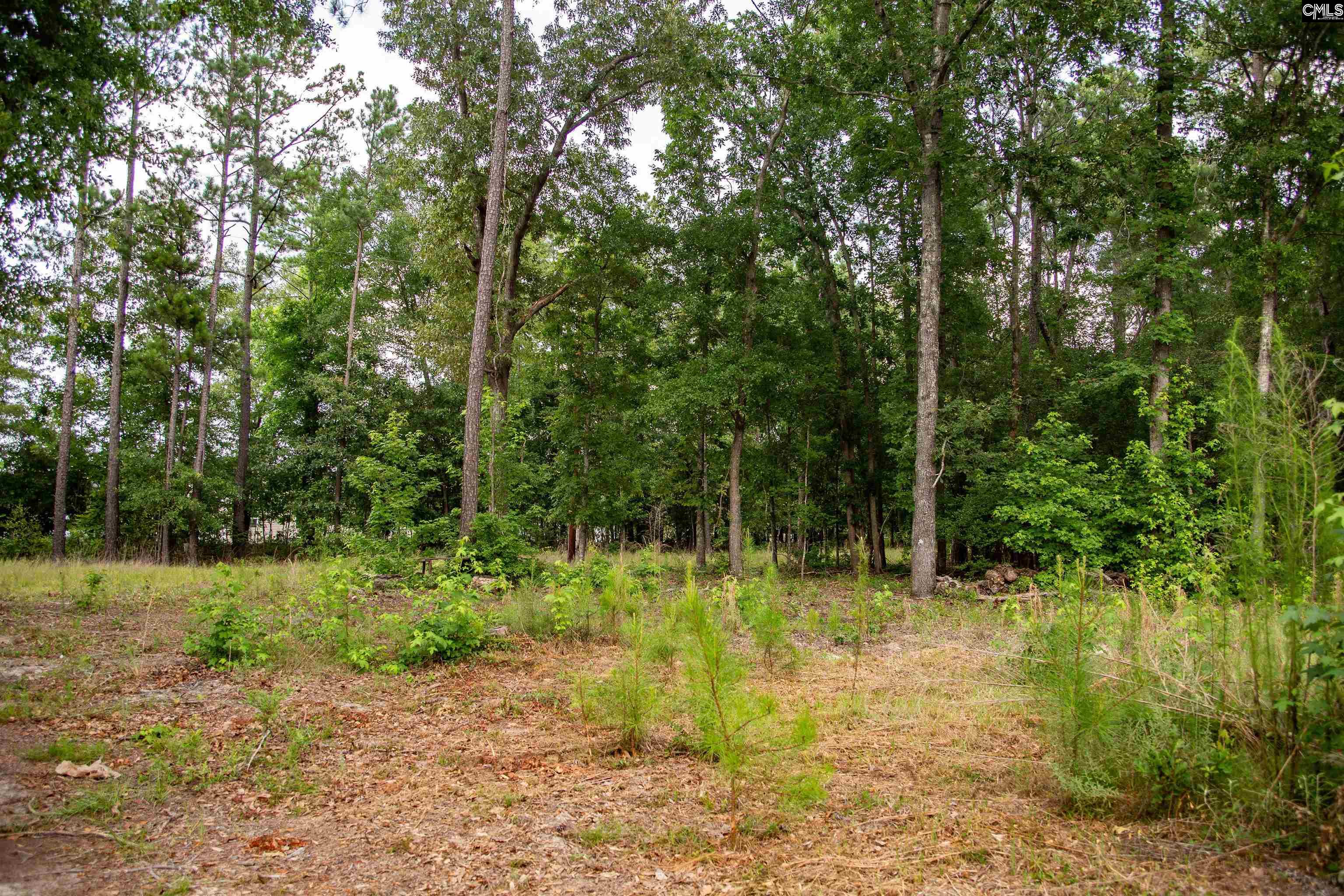 105 Dunwoody Place, Blythewood, South Carolina image 23