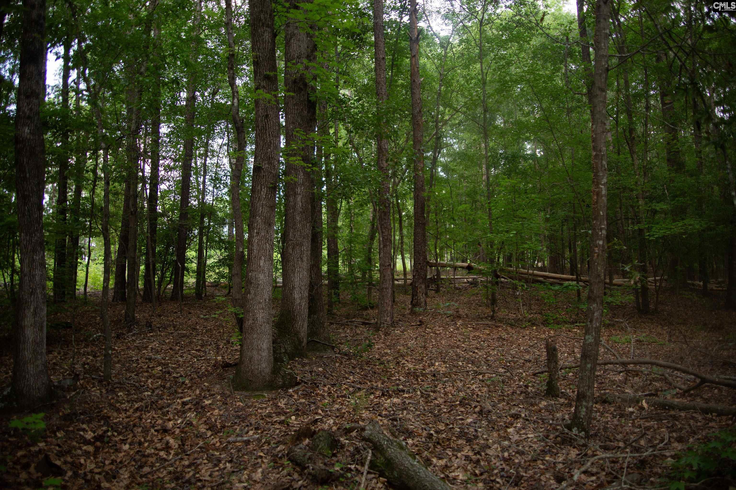 105 Dunwoody Place, Blythewood, South Carolina image 24