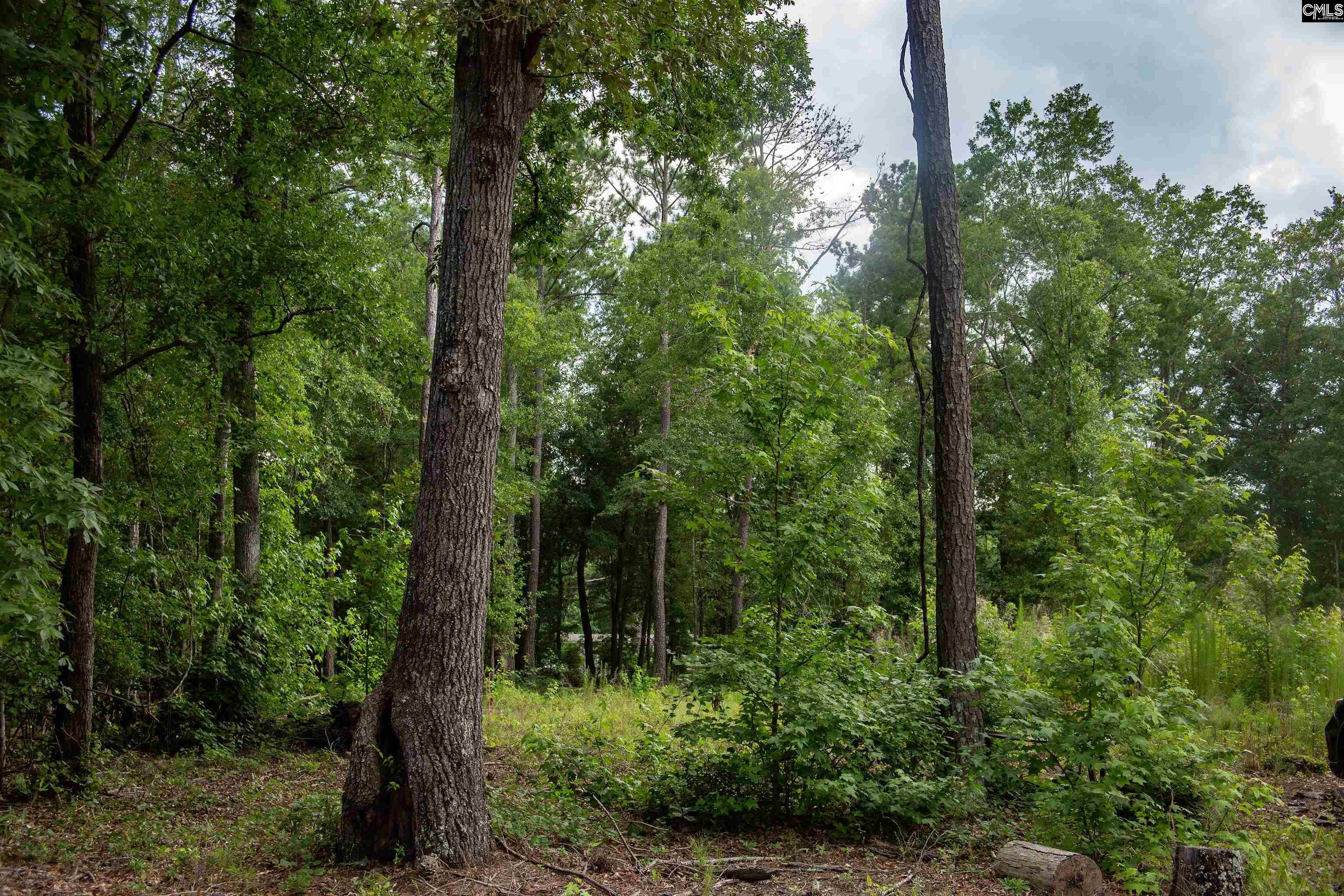 105 Dunwoody Place, Blythewood, South Carolina image 10