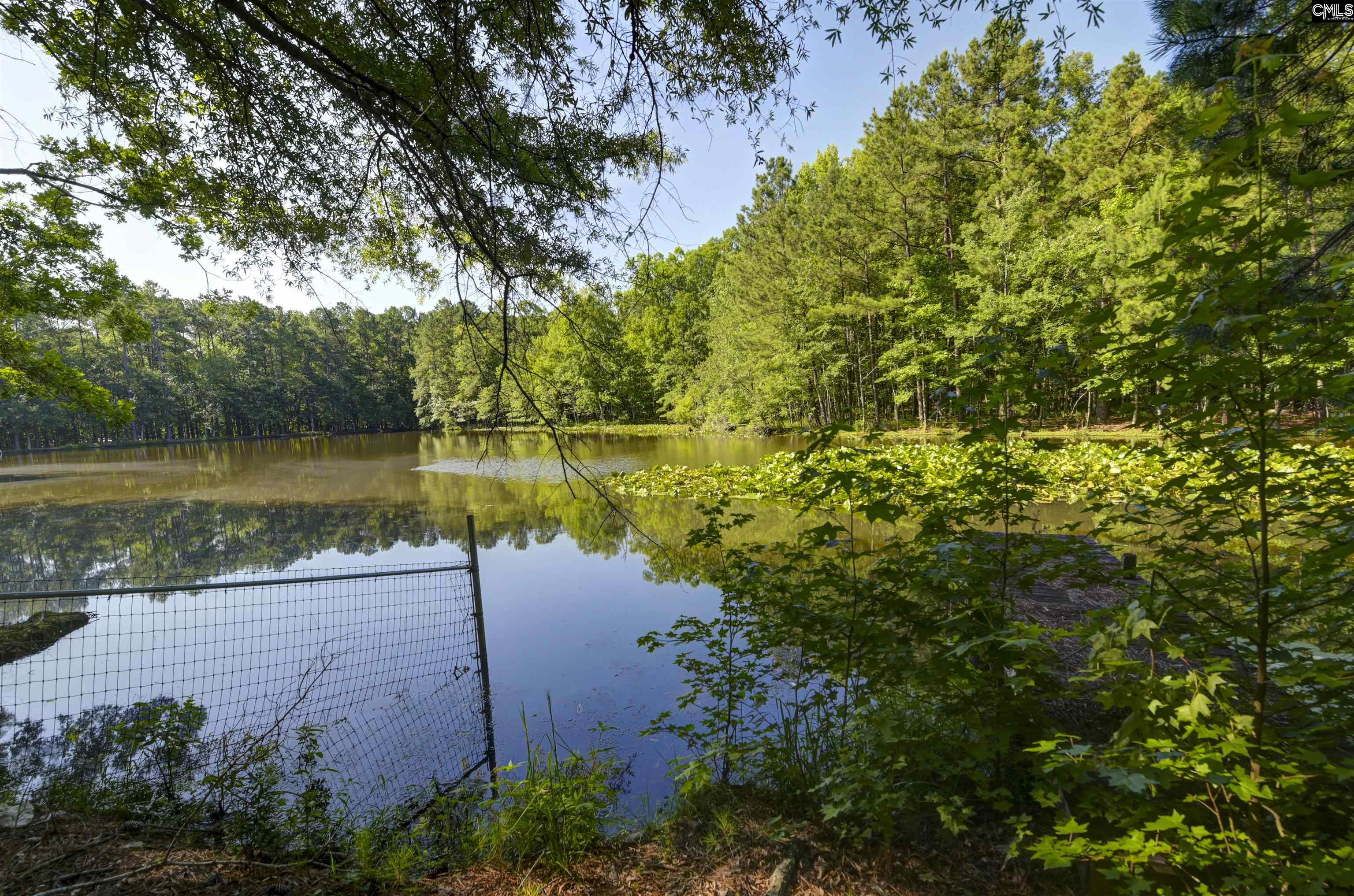730 Stoneridge Road, Ridgeway, South Carolina image 3
