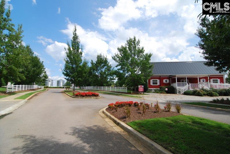 135 Cochin Trace, Lexington, South Carolina image 38