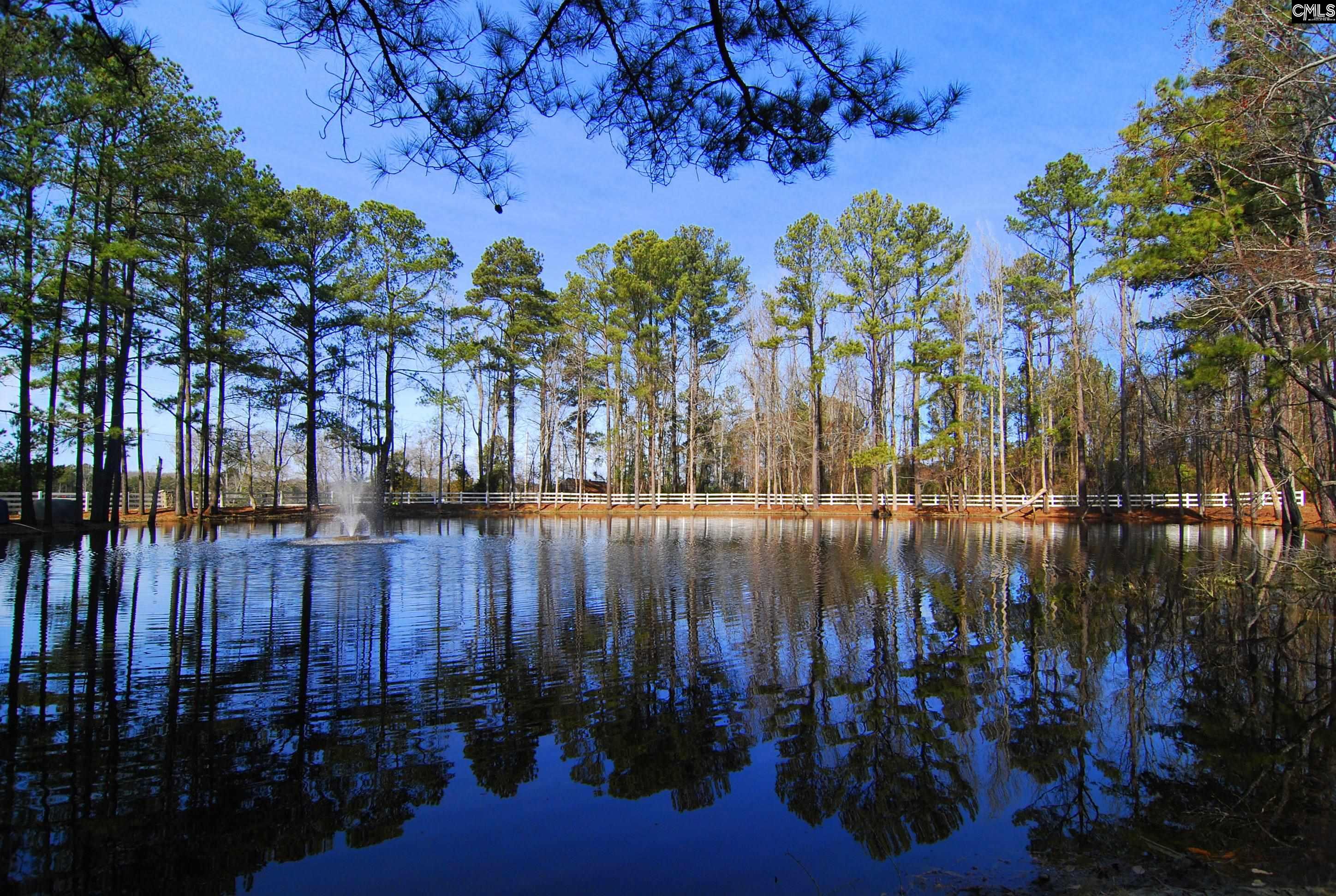 135 Cochin Trace, Lexington, South Carolina image 39