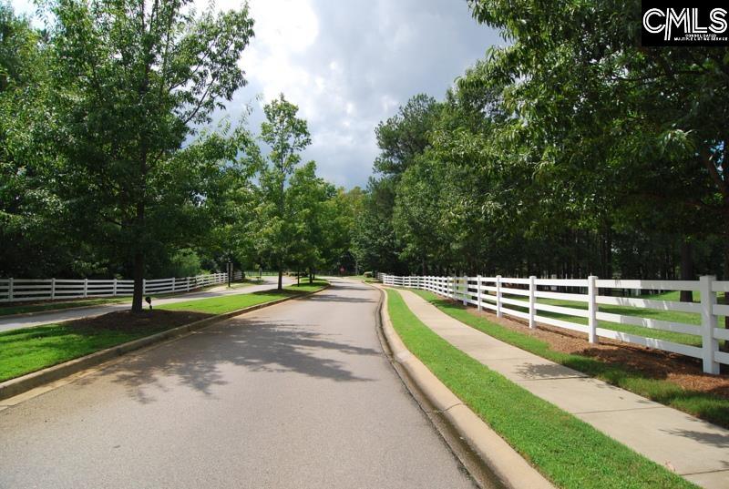 135 Cochin Trace, Lexington, South Carolina image 40
