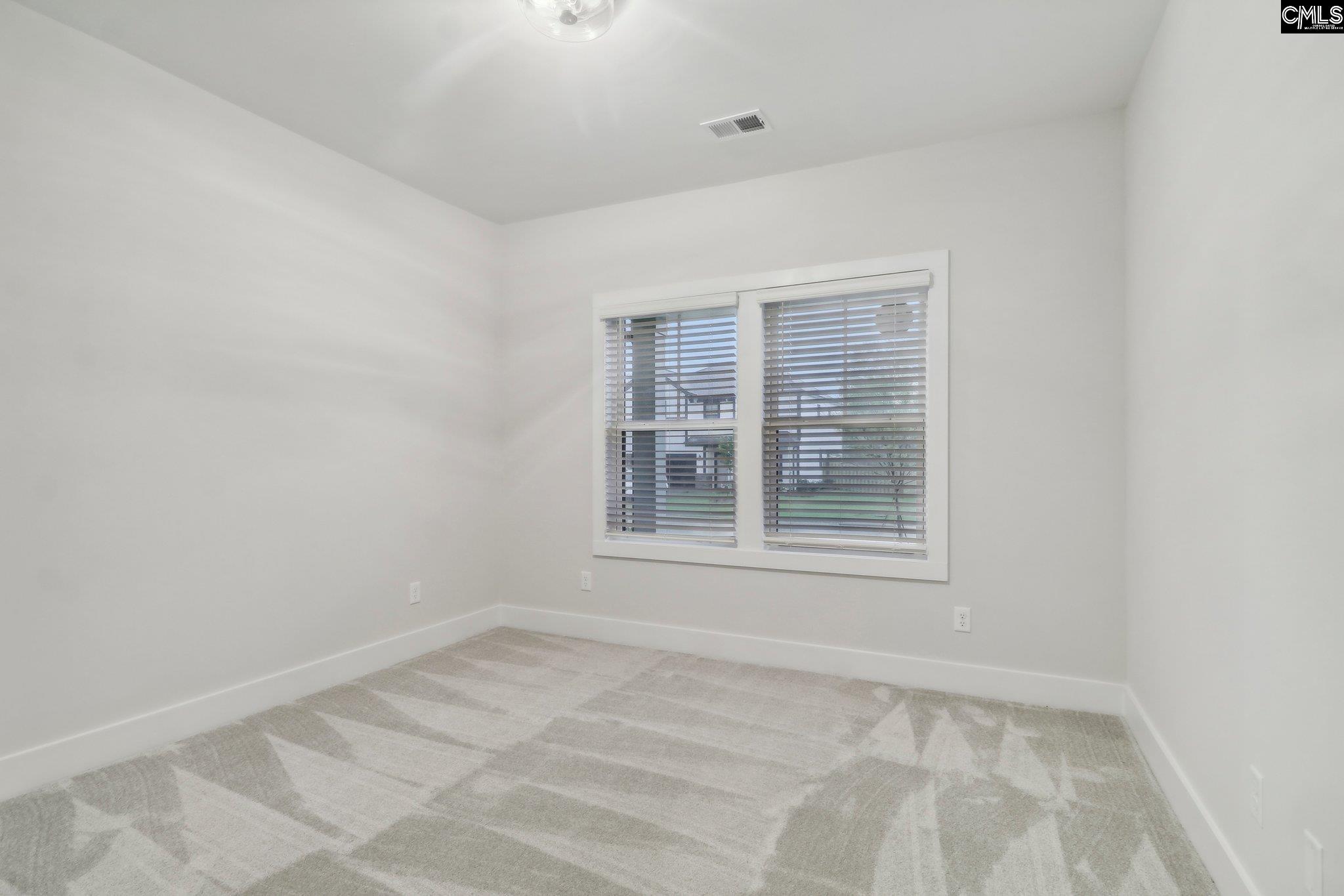 287 Murray Falls Lane, Chapin, South Carolina image 11