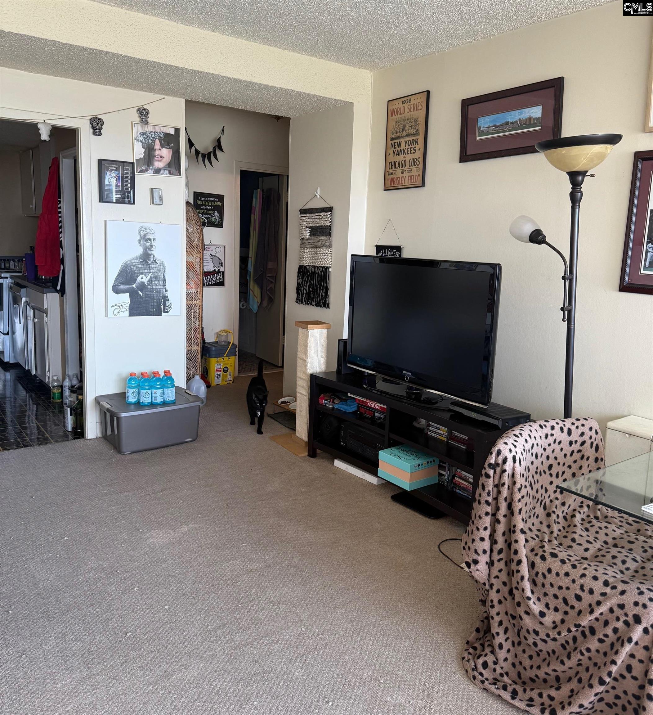 picture-gallery
