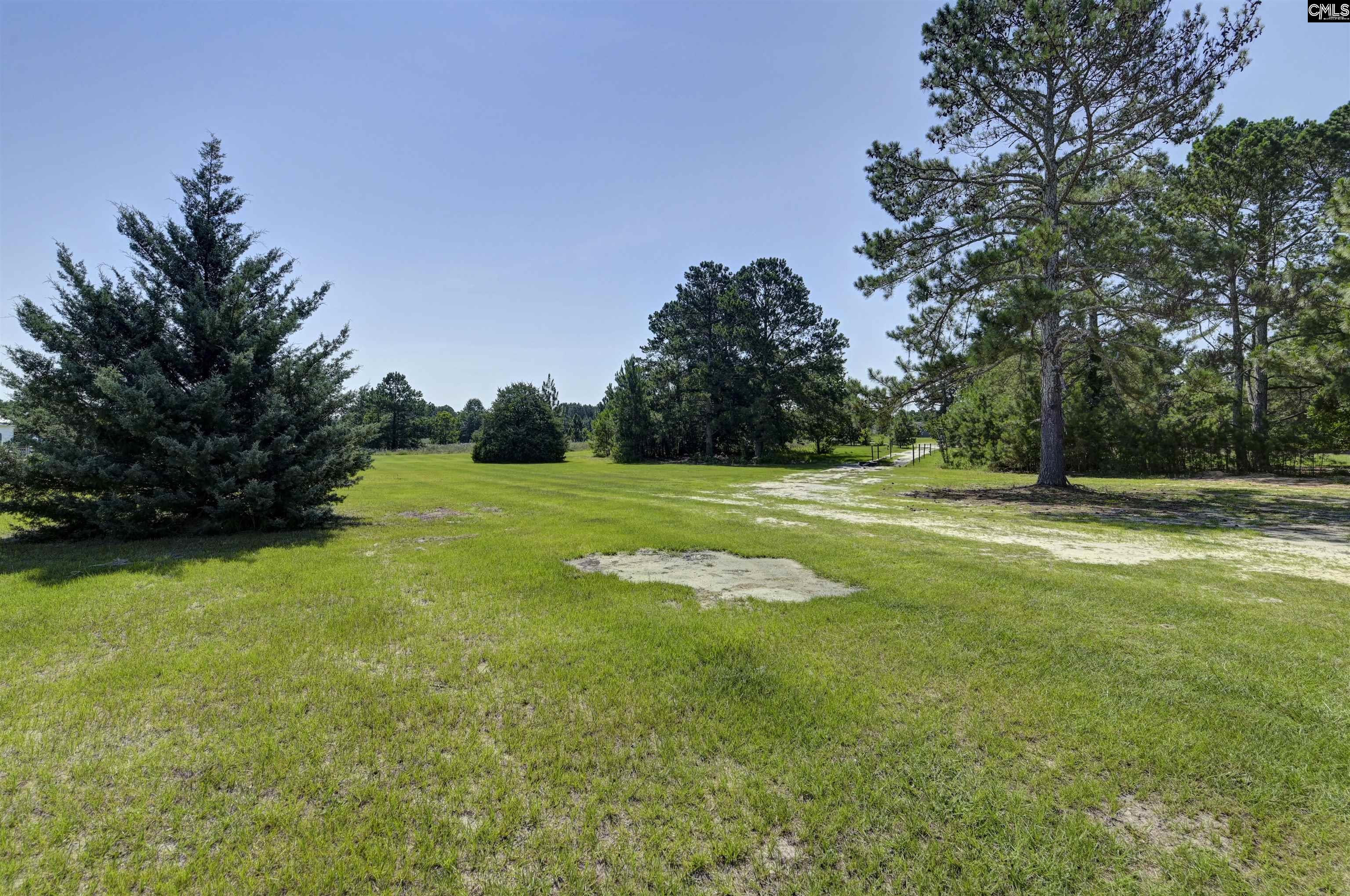 180 Elaine Court, Gilbert, South Carolina image 10