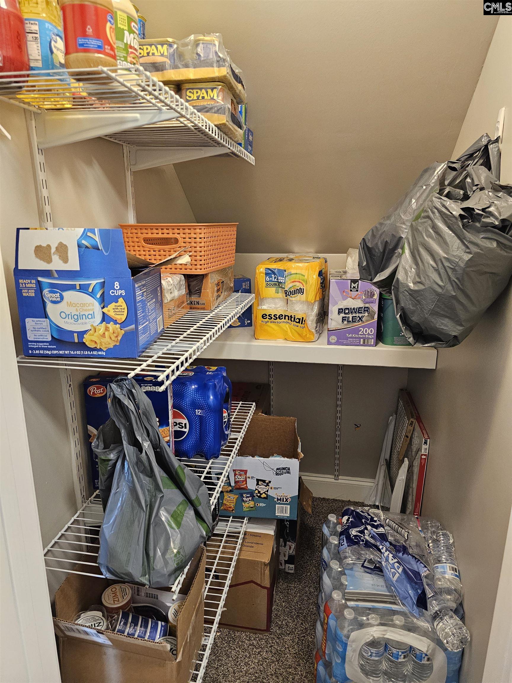 Extra Storage Under Stairs