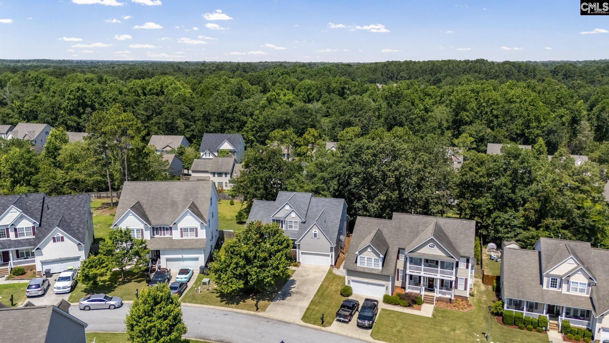 228 Millwright Drive, Lexington, South Carolina image 49