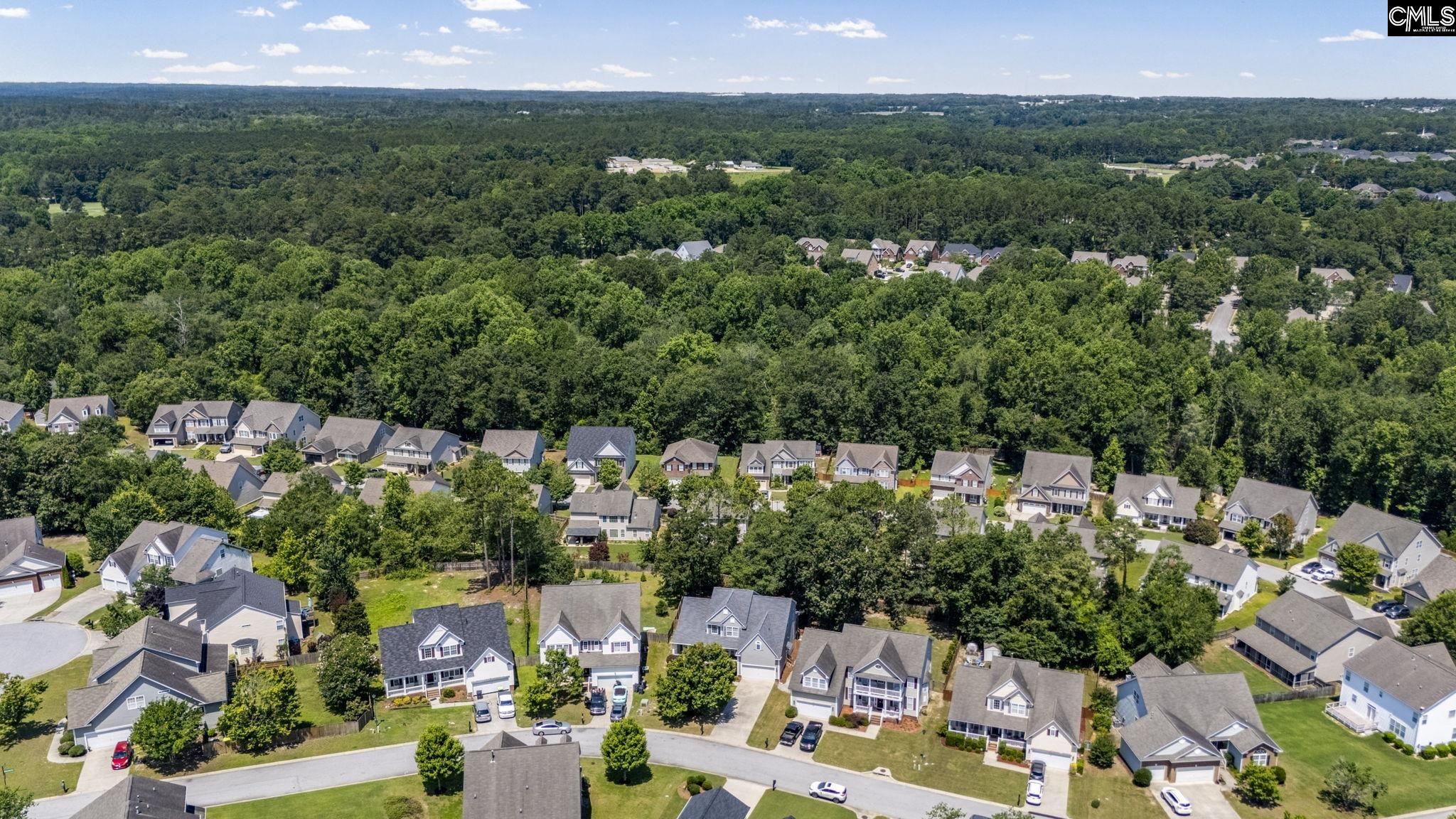228 Millwright Drive, Lexington, South Carolina image 50