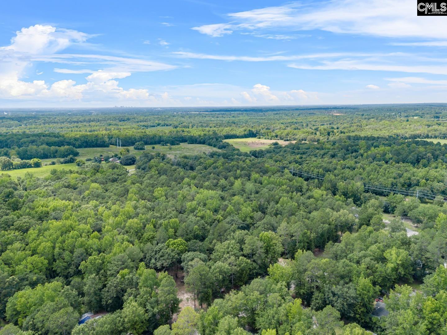 50 Willow Wind Lane, Hopkins, South Carolina image 29