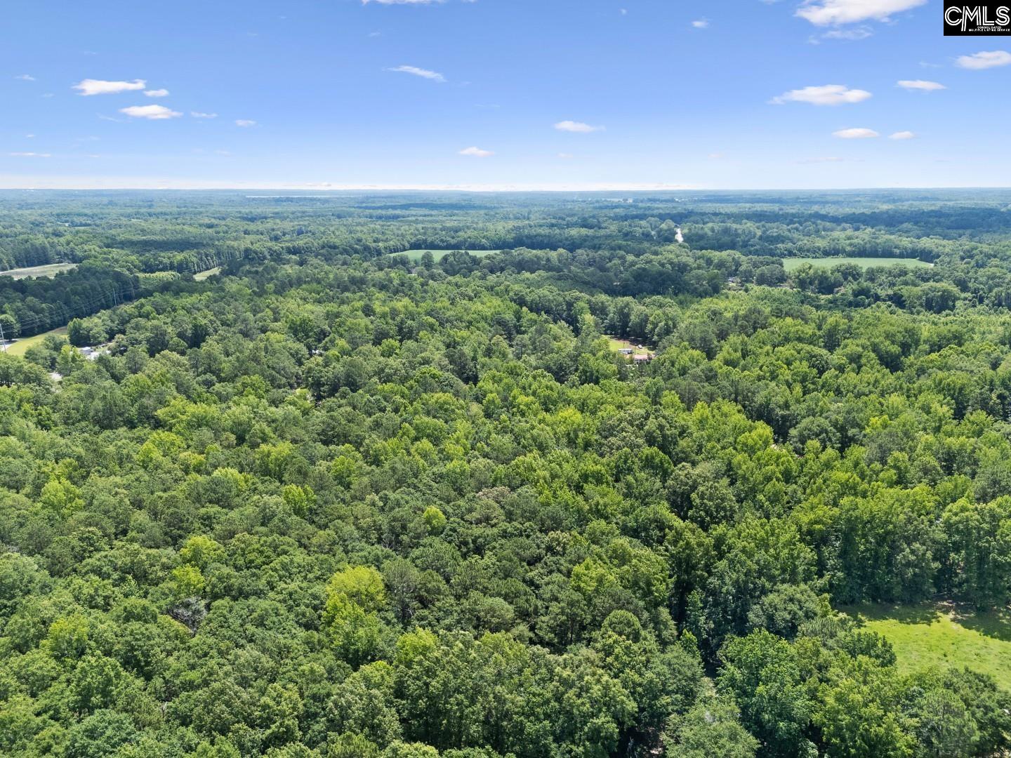 50 Willow Wind Lane, Hopkins, South Carolina image 33