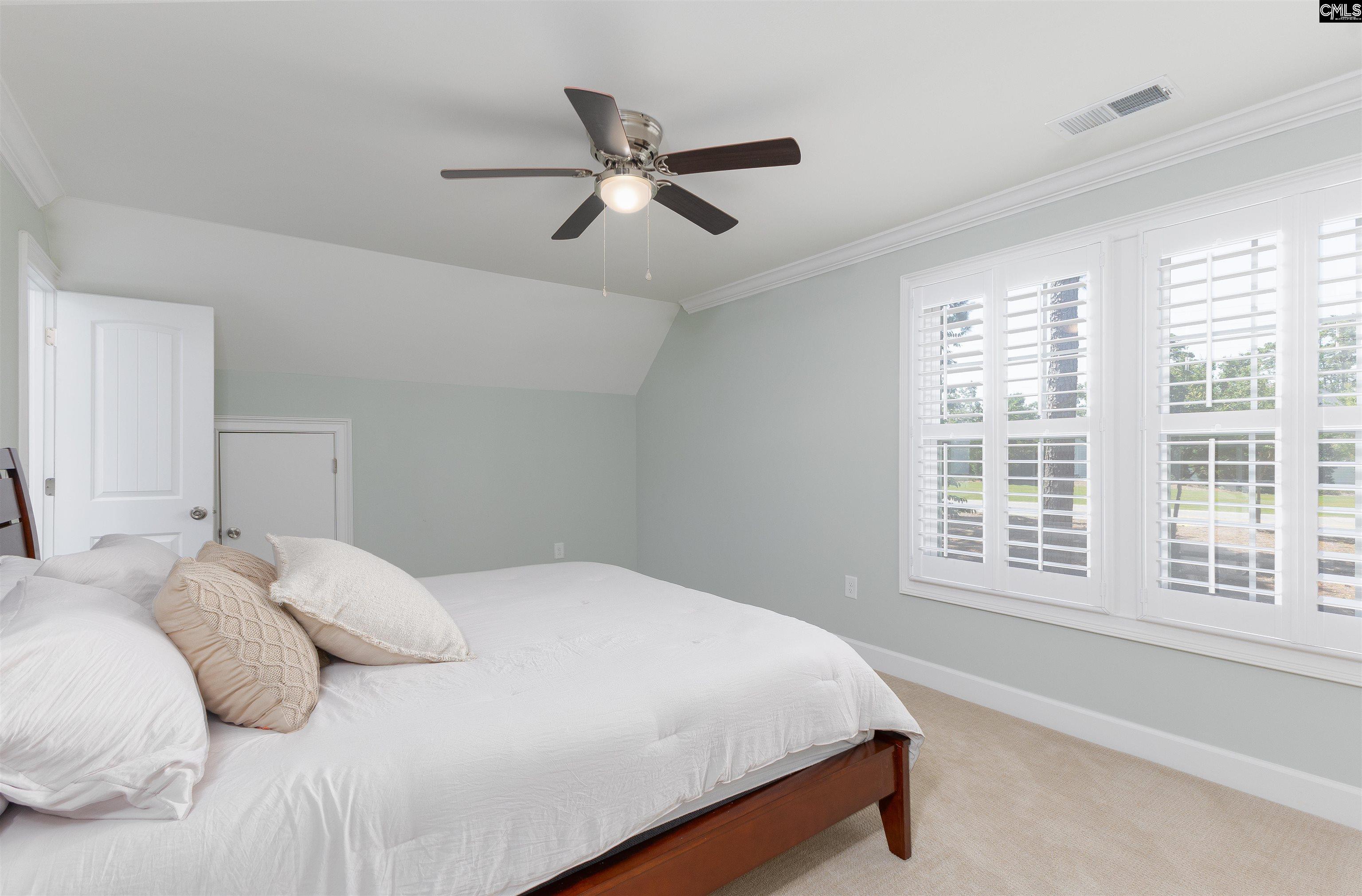 104 Lake Summit Drive, Chapin, South Carolina image 30