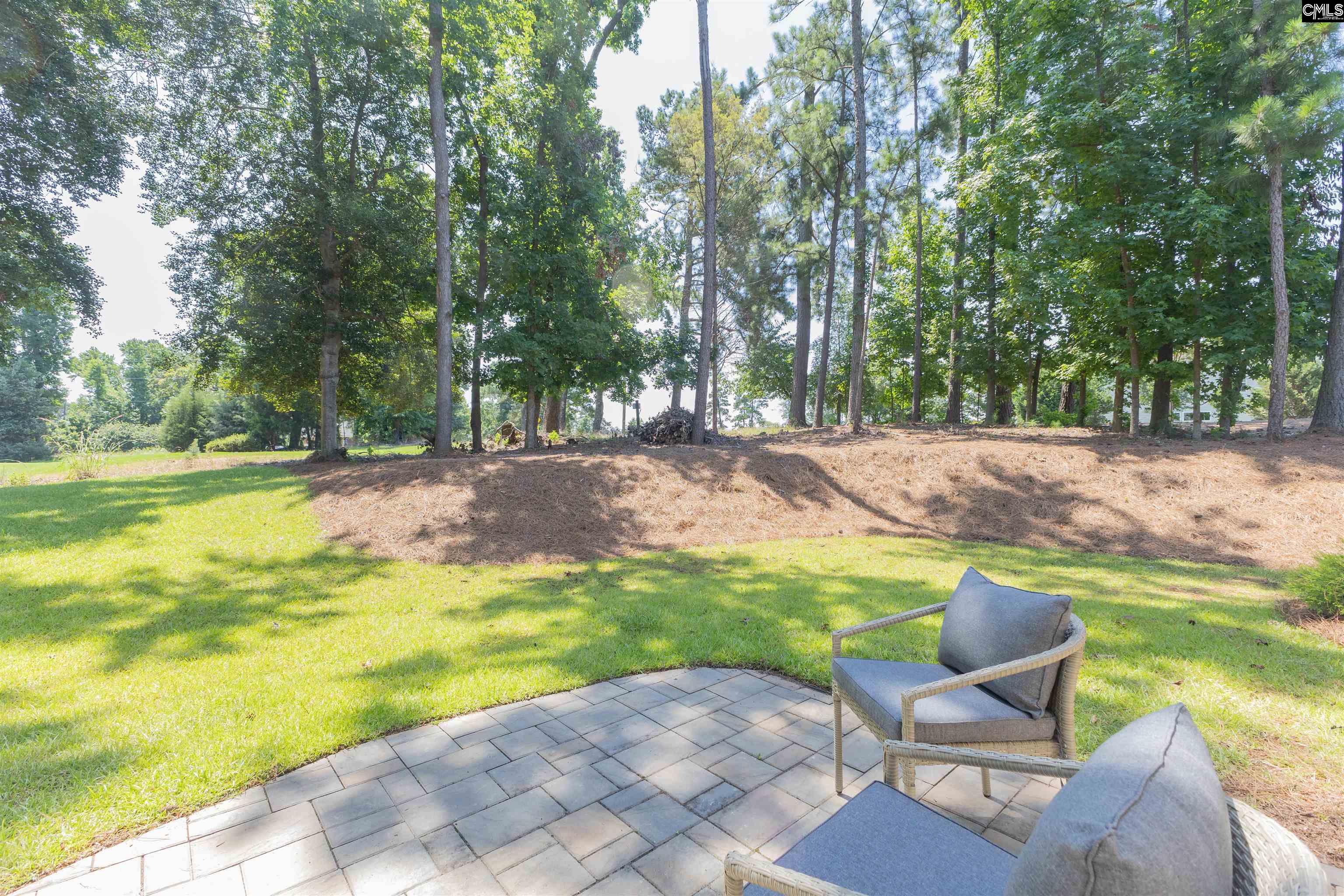 104 Lake Summit Drive, Chapin, South Carolina image 35