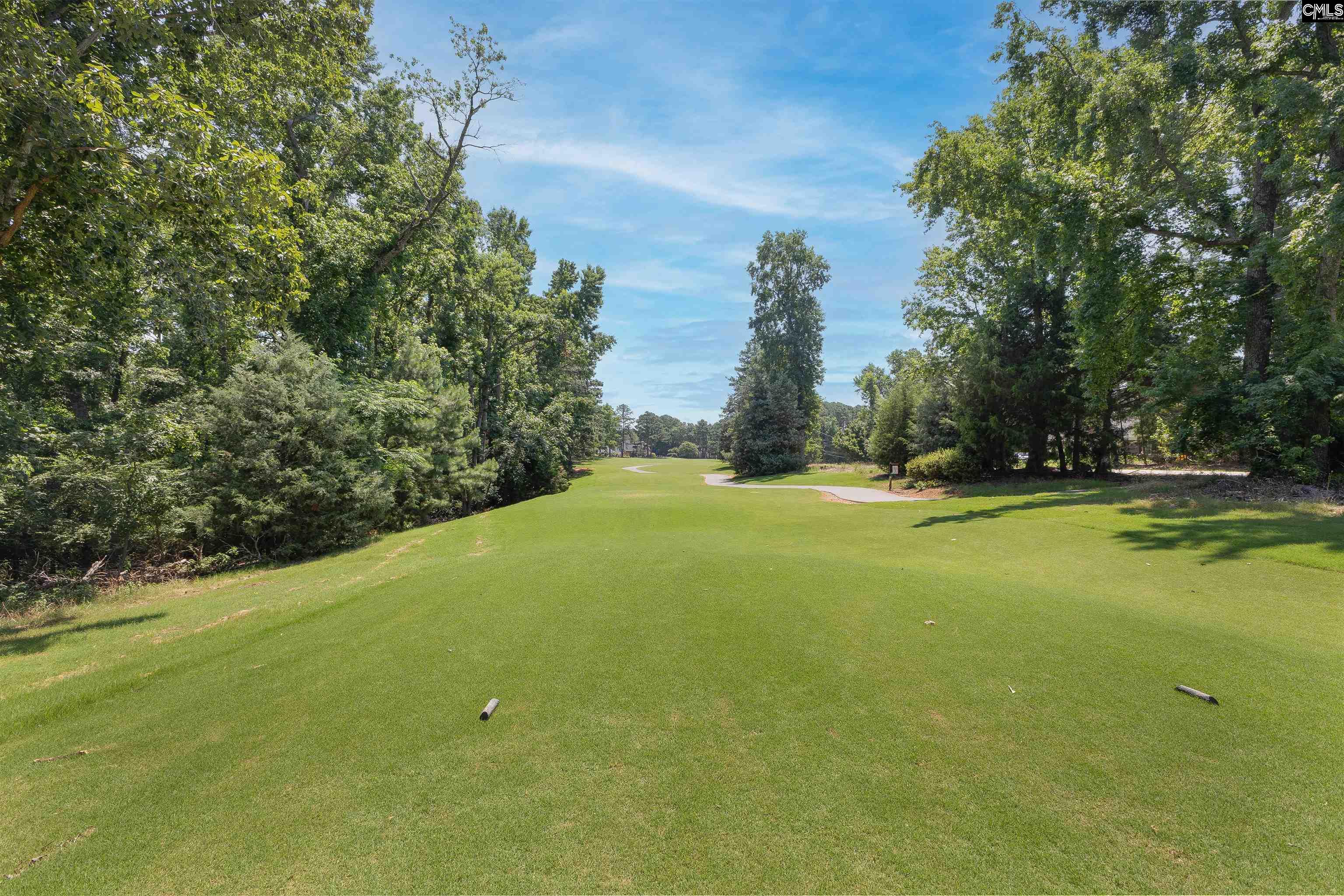 104 Lake Summit Drive, Chapin, South Carolina image 39