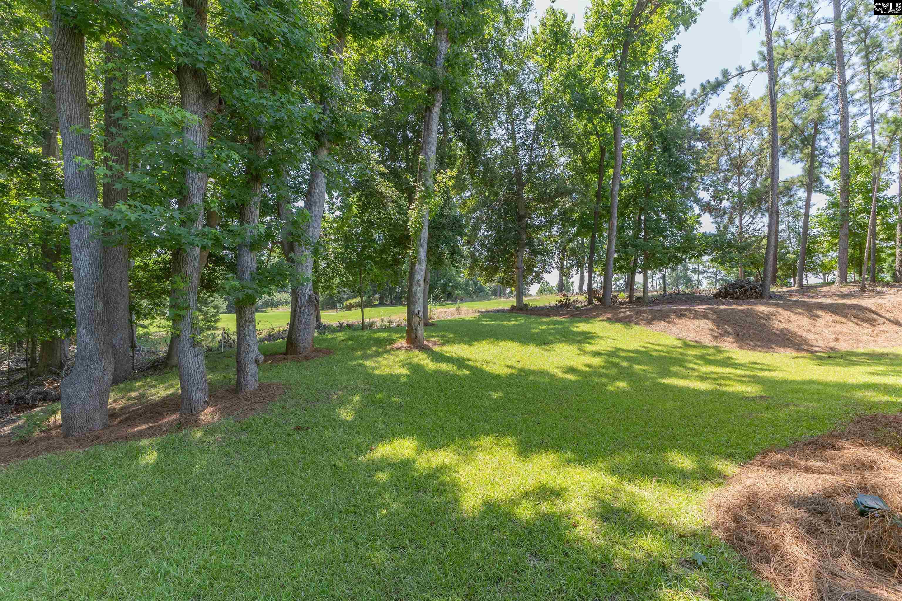 104 Lake Summit Drive, Chapin, South Carolina image 41