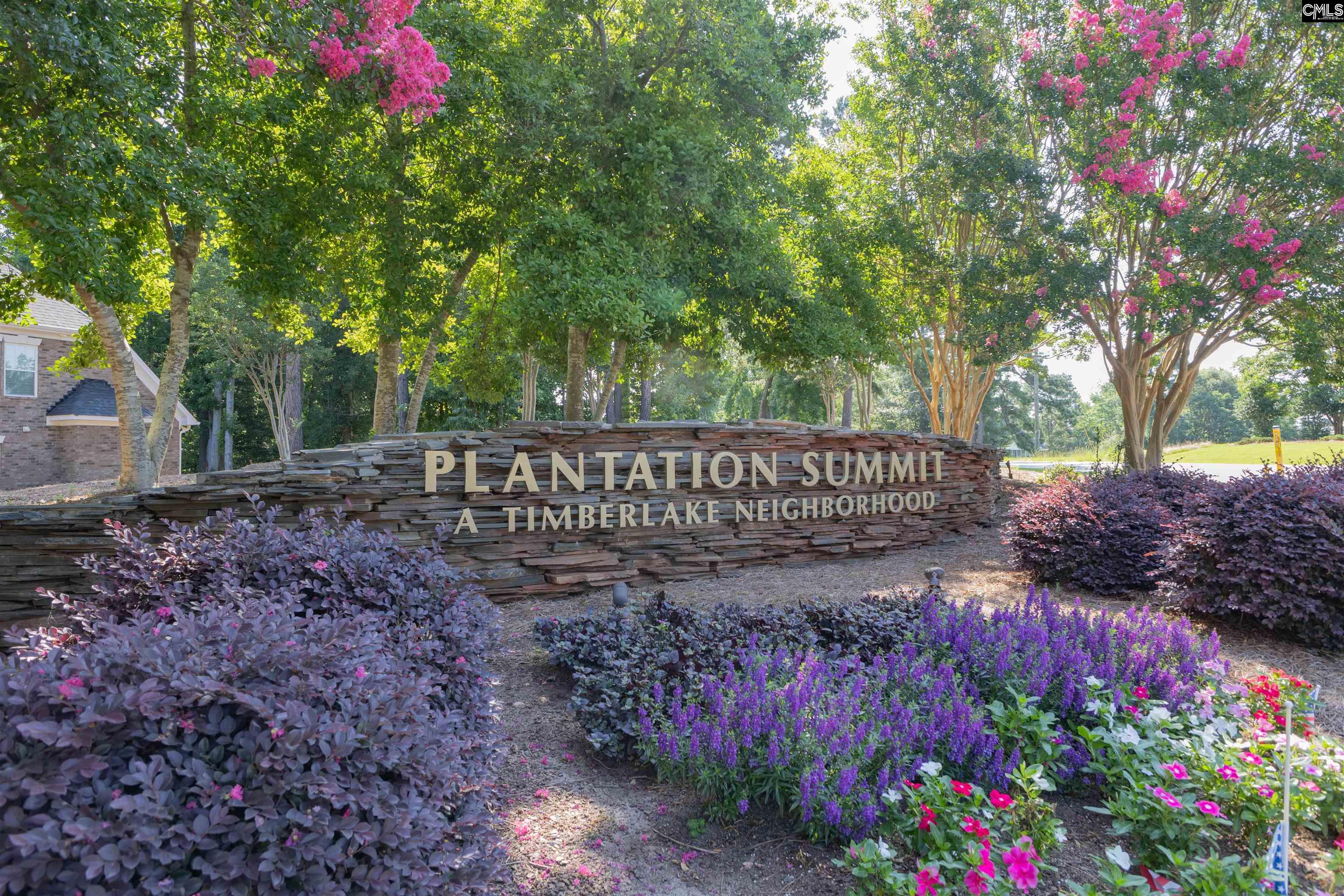104 Lake Summit Drive, Chapin, South Carolina image 42