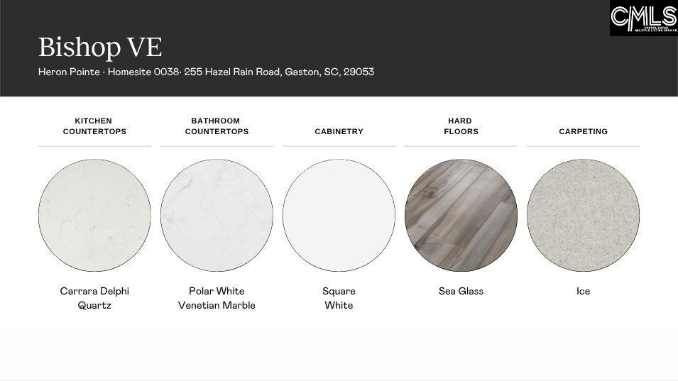 255 Hazel Rain Road, Gaston, South Carolina image 4