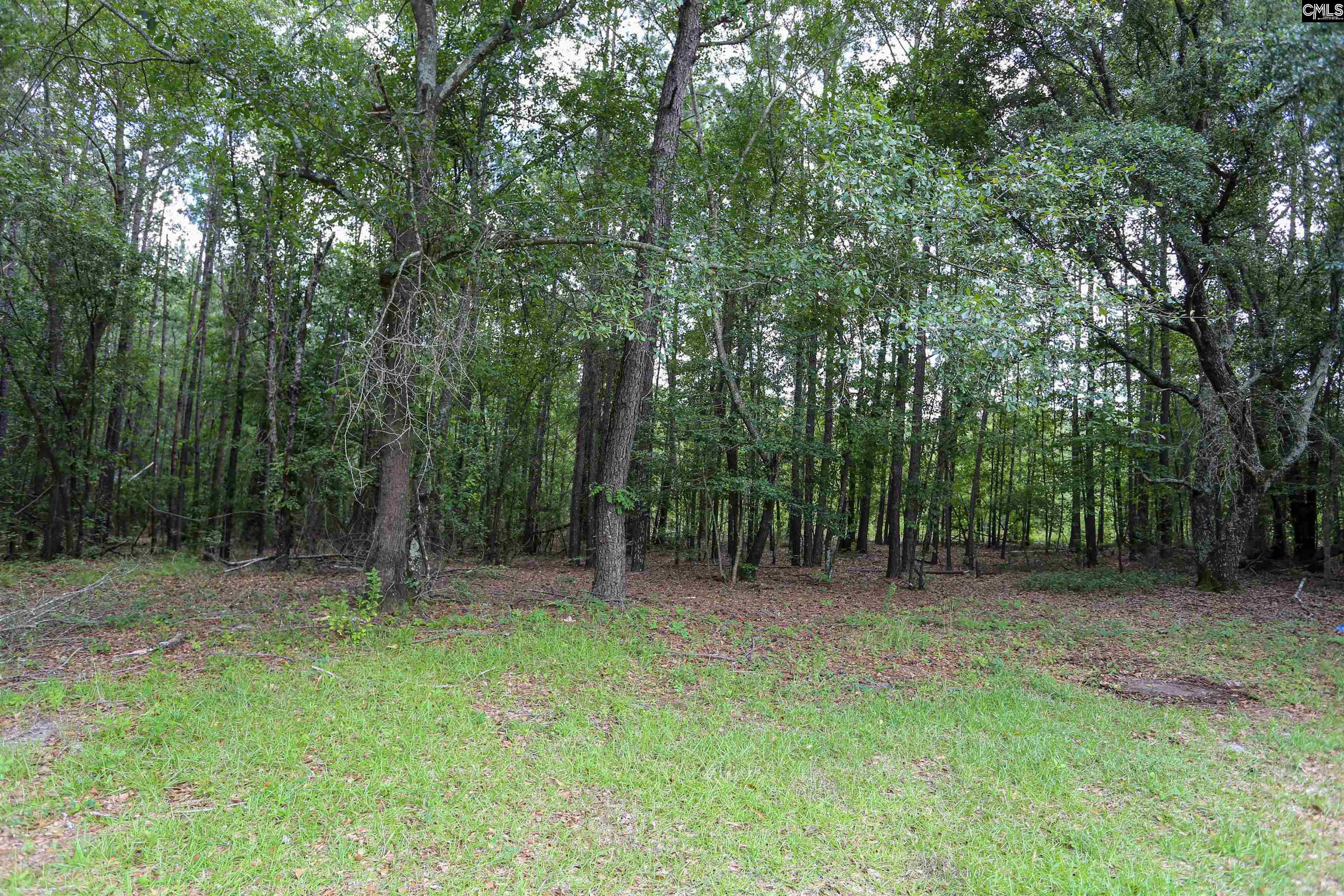 470 Tremble Branch Road, Camden, South Carolina image 39