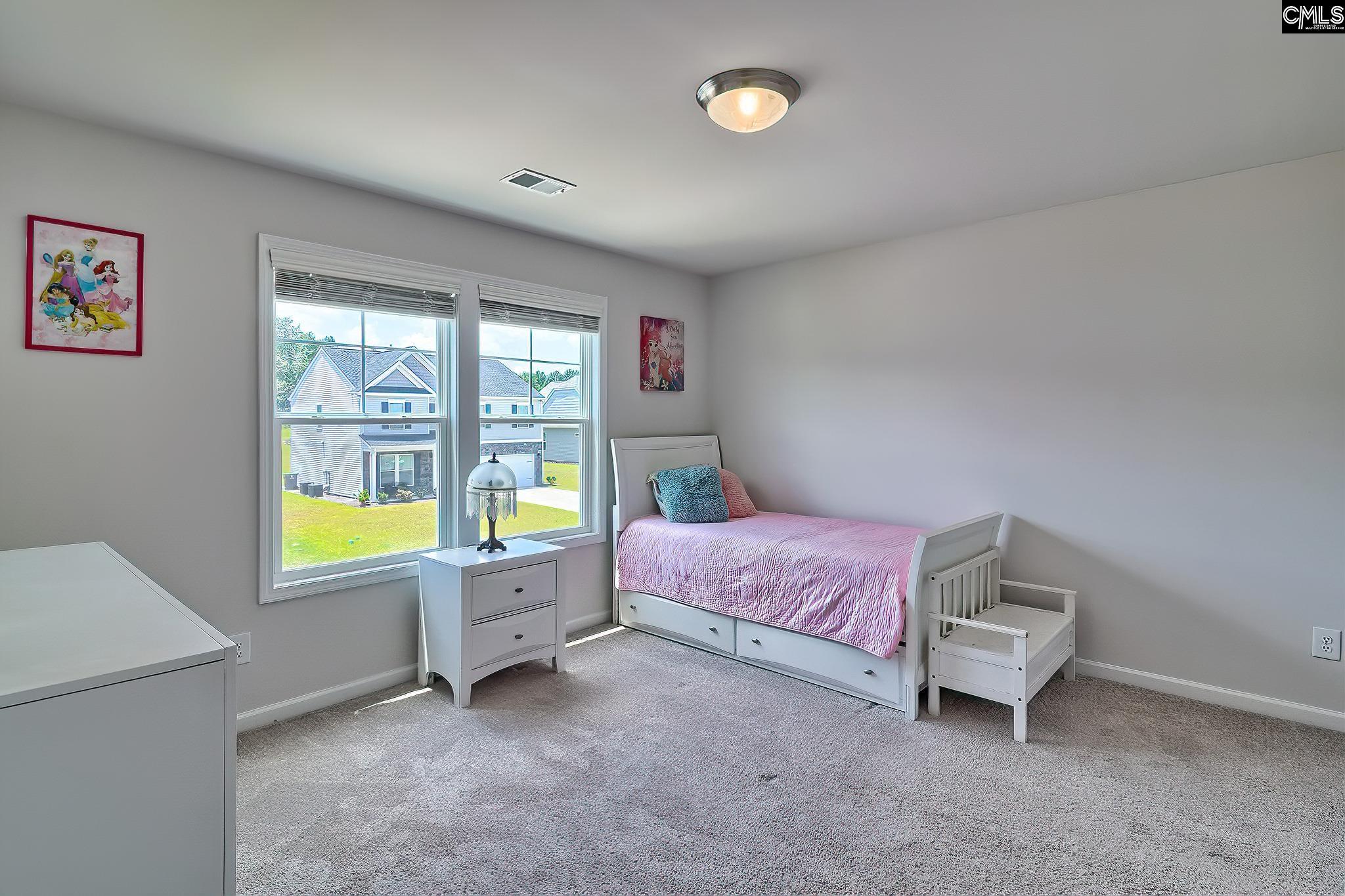 142 Summer Orchard Drive, Lexington, South Carolina image 25