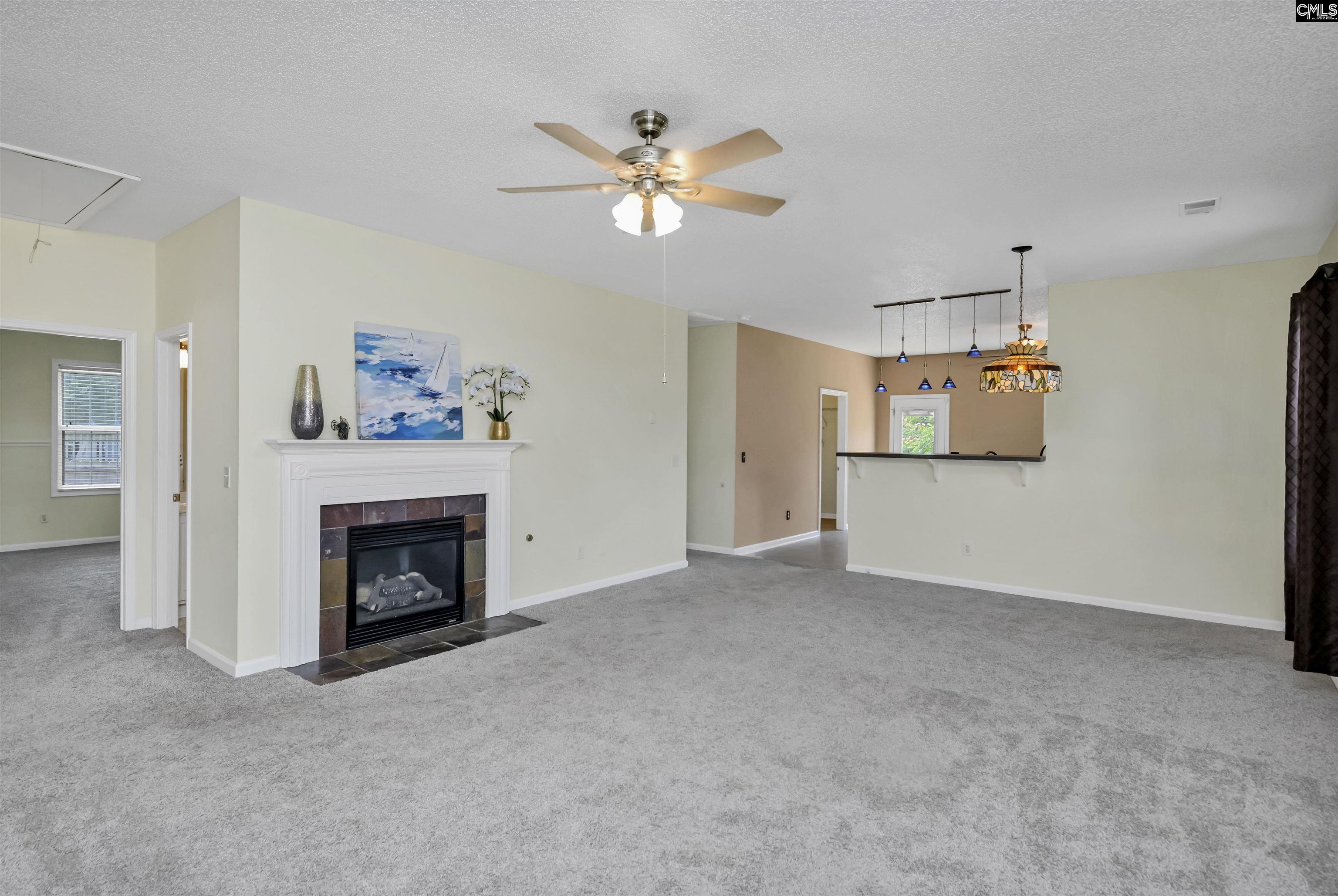 269 Farming Creek Way, Lexington, South Carolina image 5