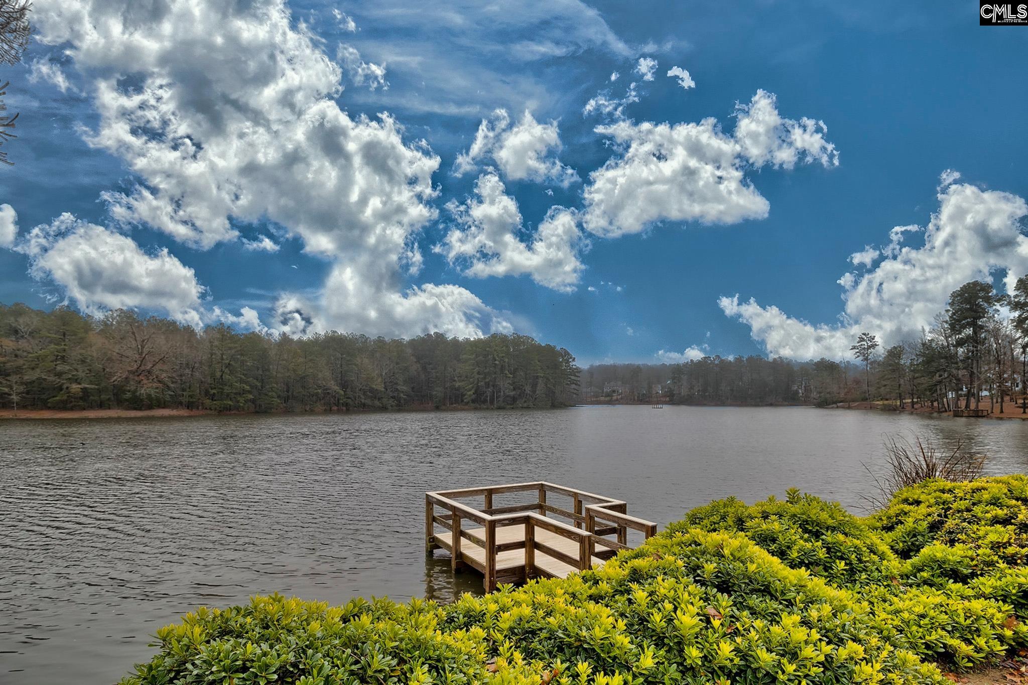 132 Garden Gate Way, Lexington, South Carolina image 36