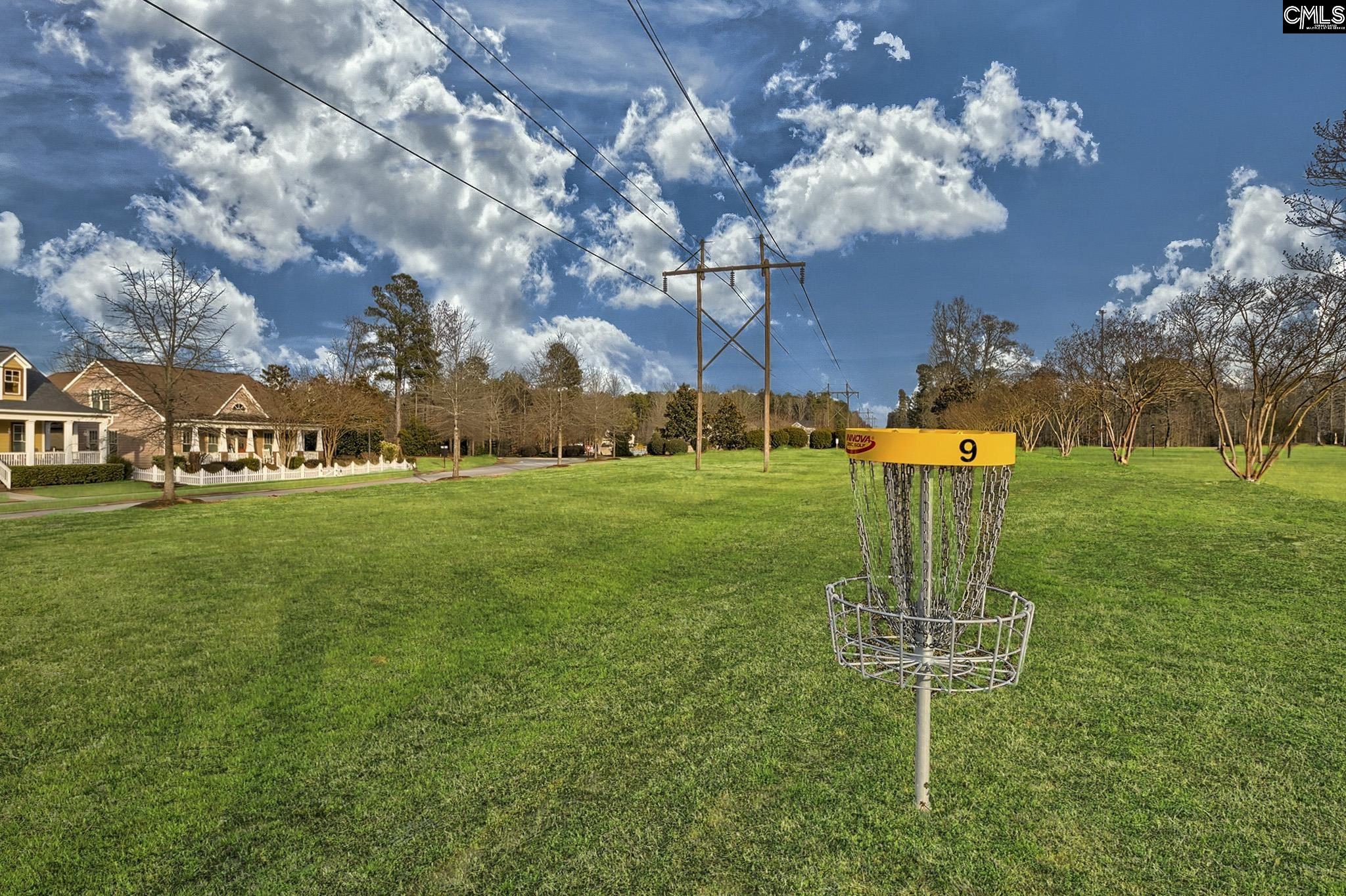 132 Garden Gate Way, Lexington, South Carolina image 40