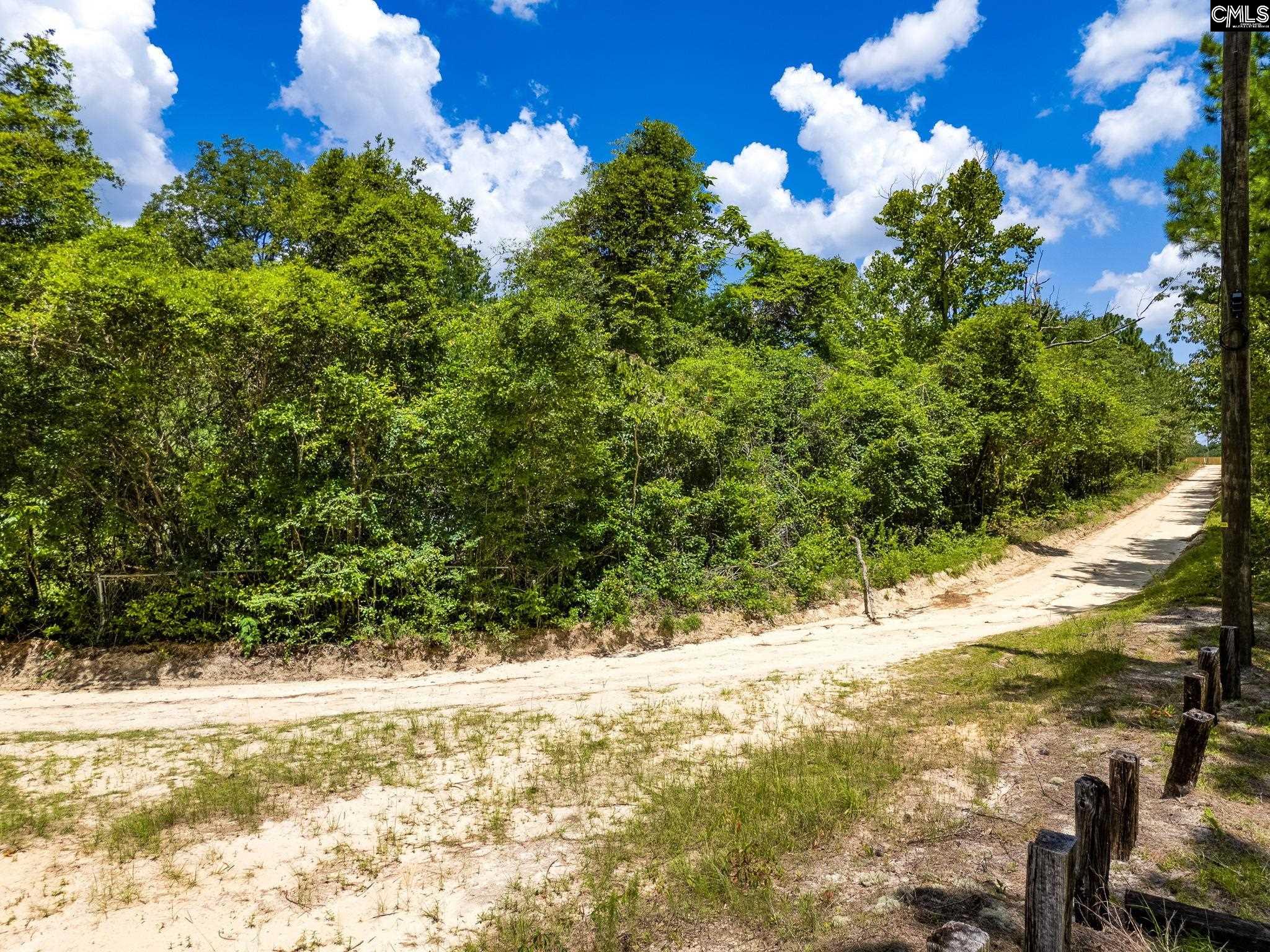 347 Peachtwig Road, Monetta, South Carolina image 12