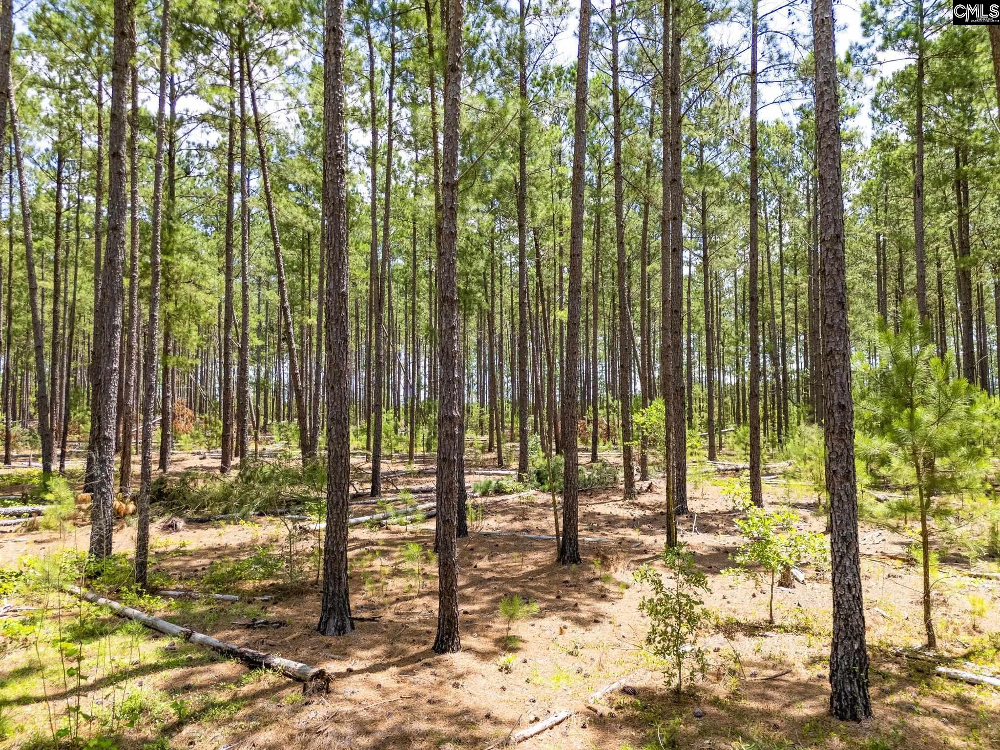 347 Peachtwig Road, Monetta, South Carolina image 13