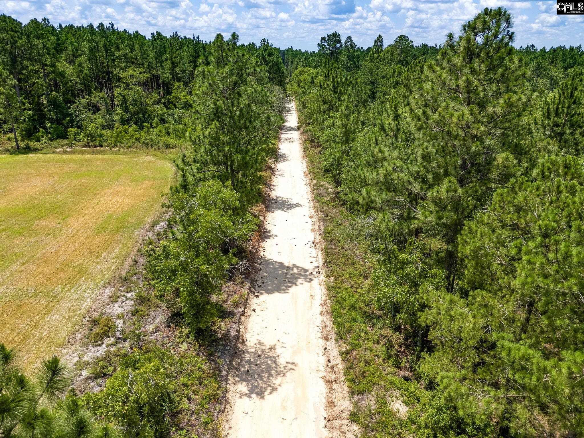 347 Peachtwig Road, Monetta, South Carolina image 14