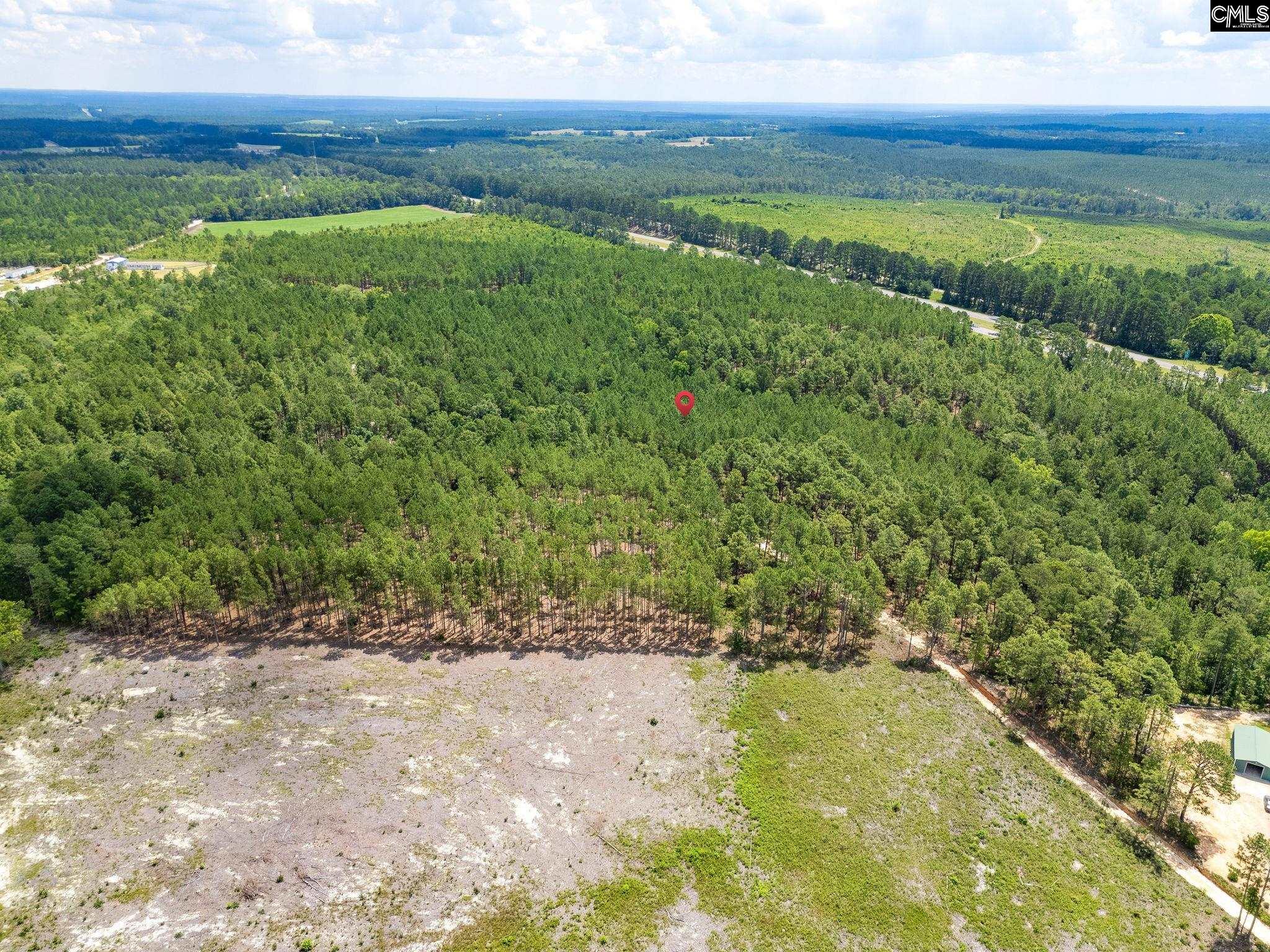 347 Peachtwig Road, Monetta, South Carolina image 4