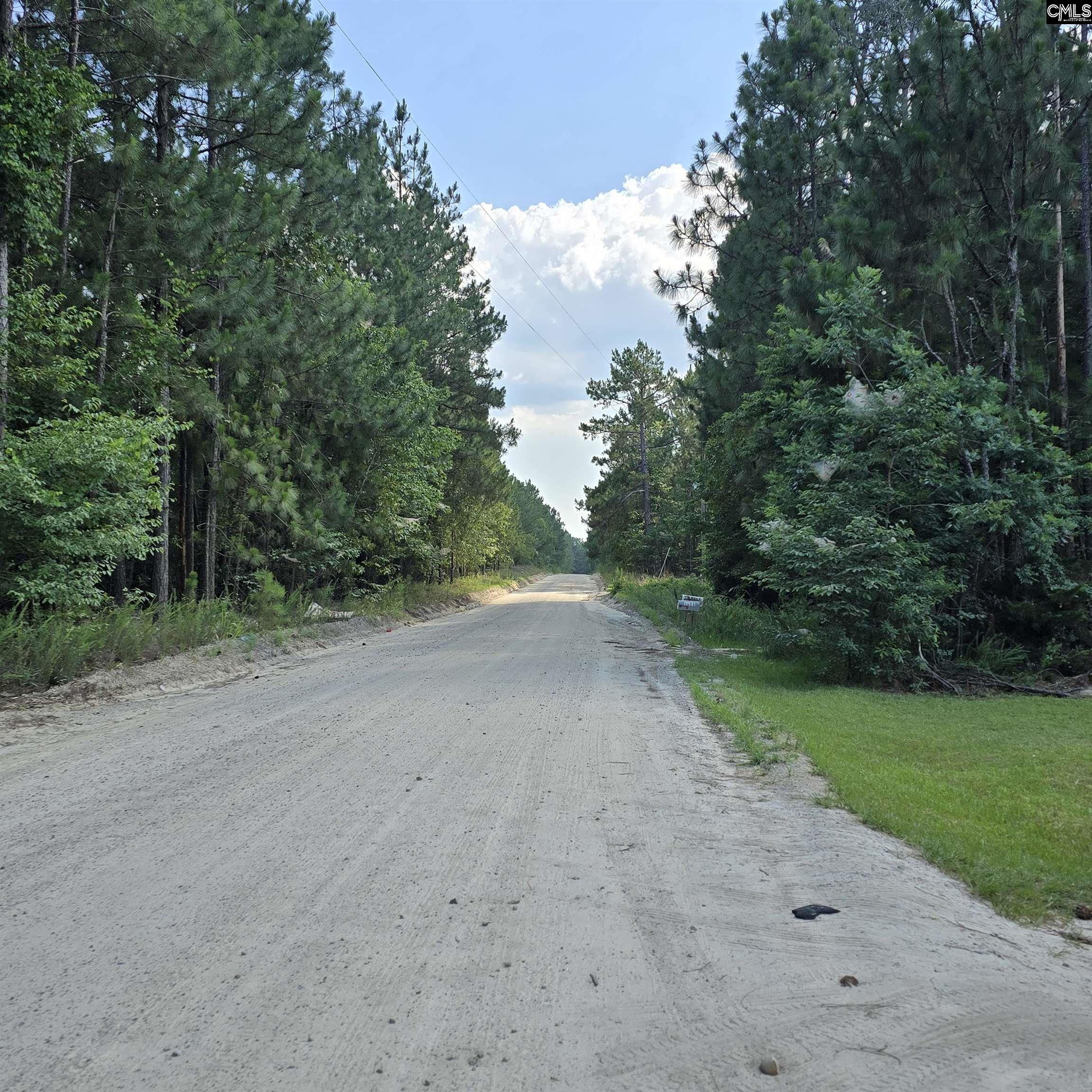 1321 Spring Creek Road, Lugoff, South Carolina image 2