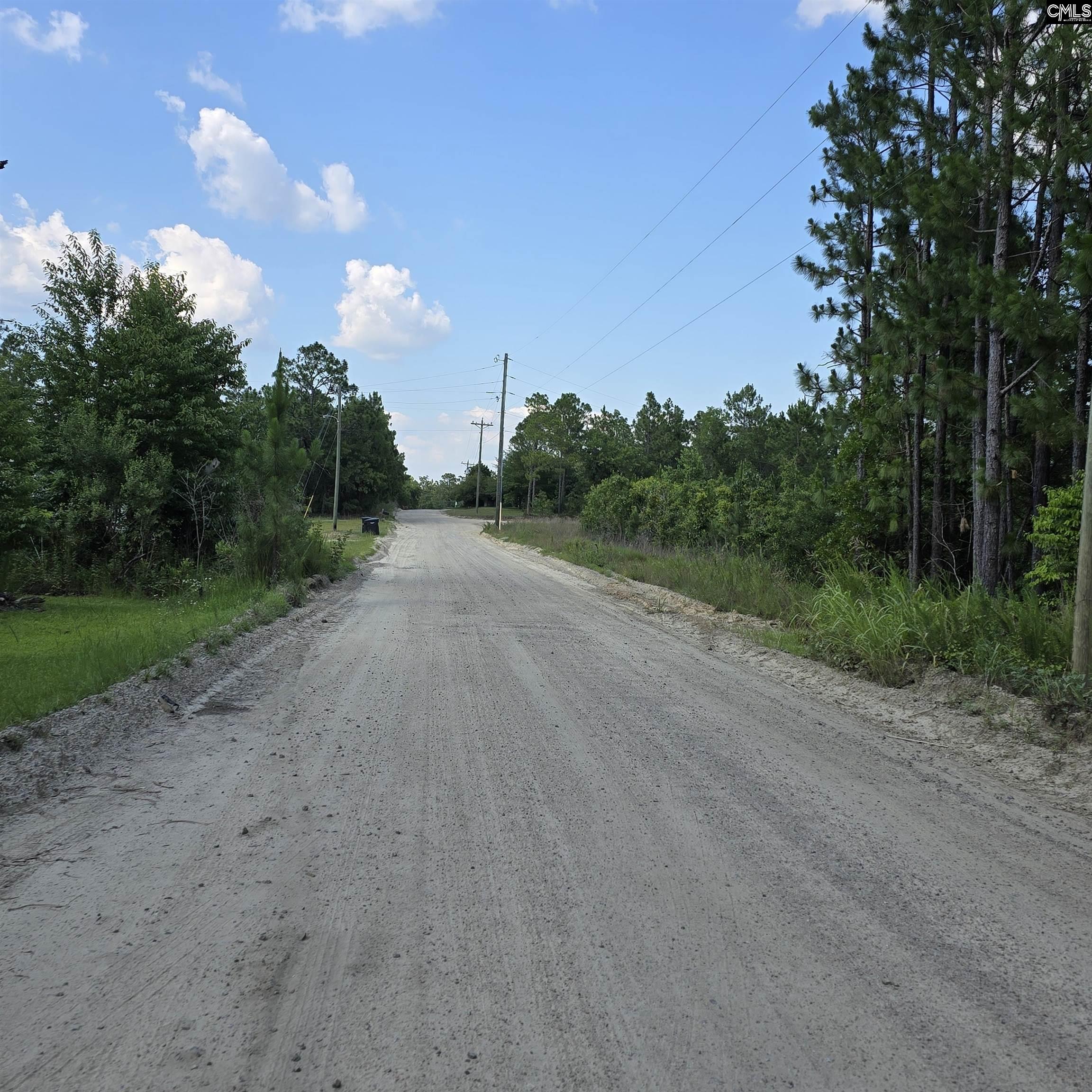 1321 Spring Creek Road, Lugoff, South Carolina image 3